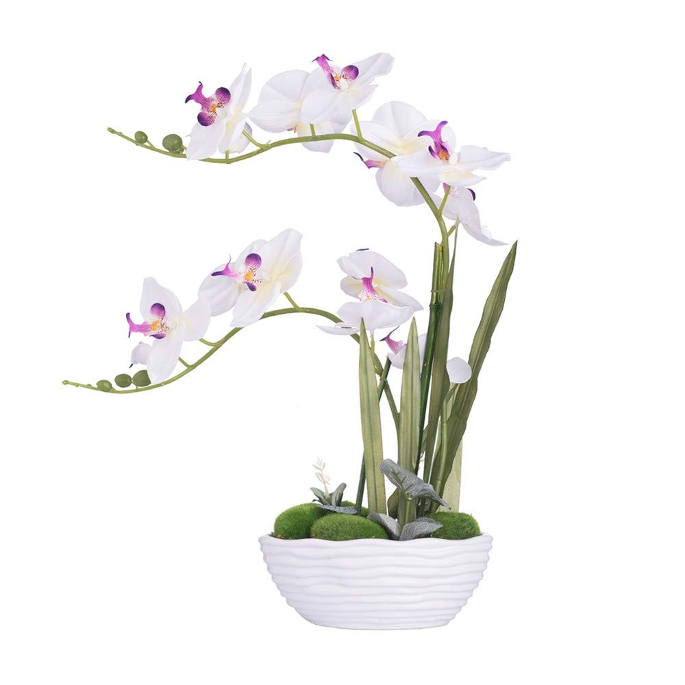 Large Artificial Potted Orchid Plant, Silk Flower Arrangement with Ceramics V…