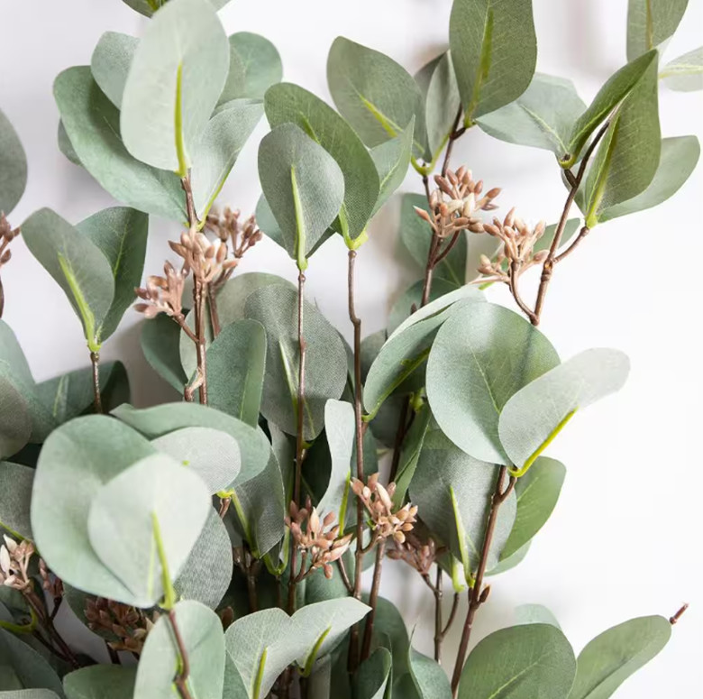 30 inch Sage Green Eucalyptus Branch with Fruit Artificial Stem (Set of 5)
