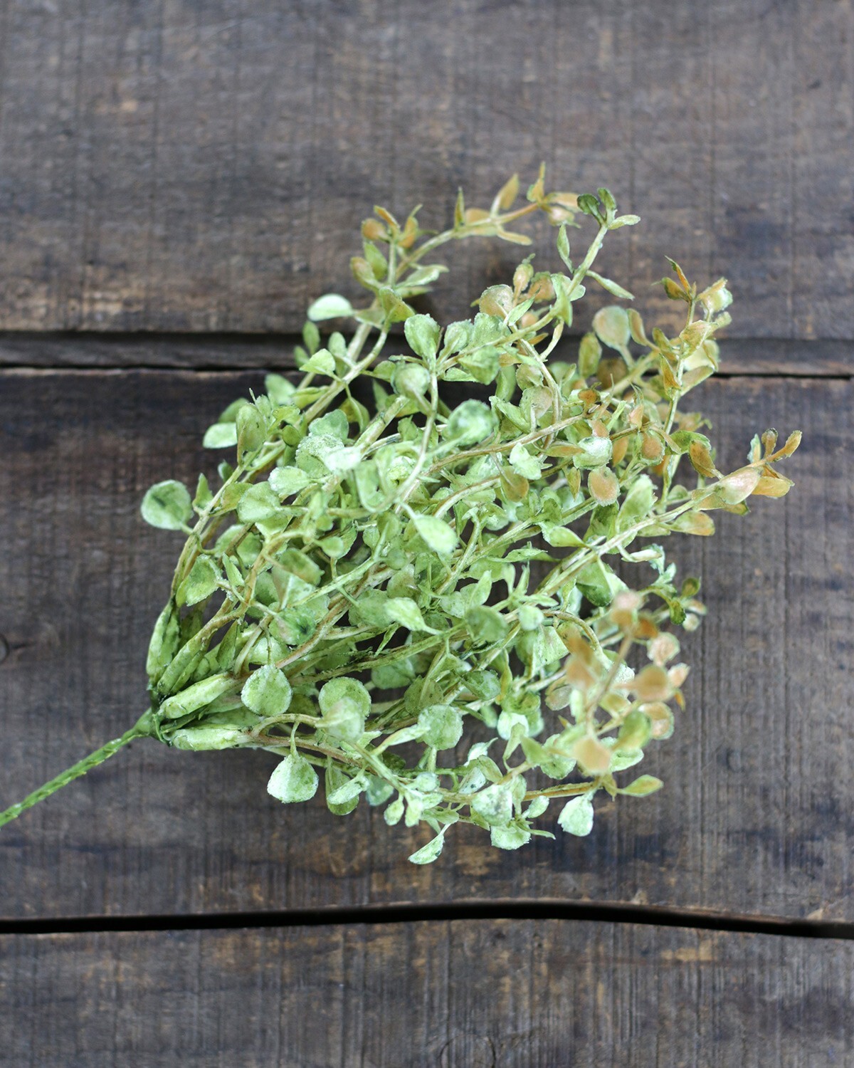 Artificial Floral Picks Set of 2 Baby’s Grass Greenery Primitive Decor 9 inch