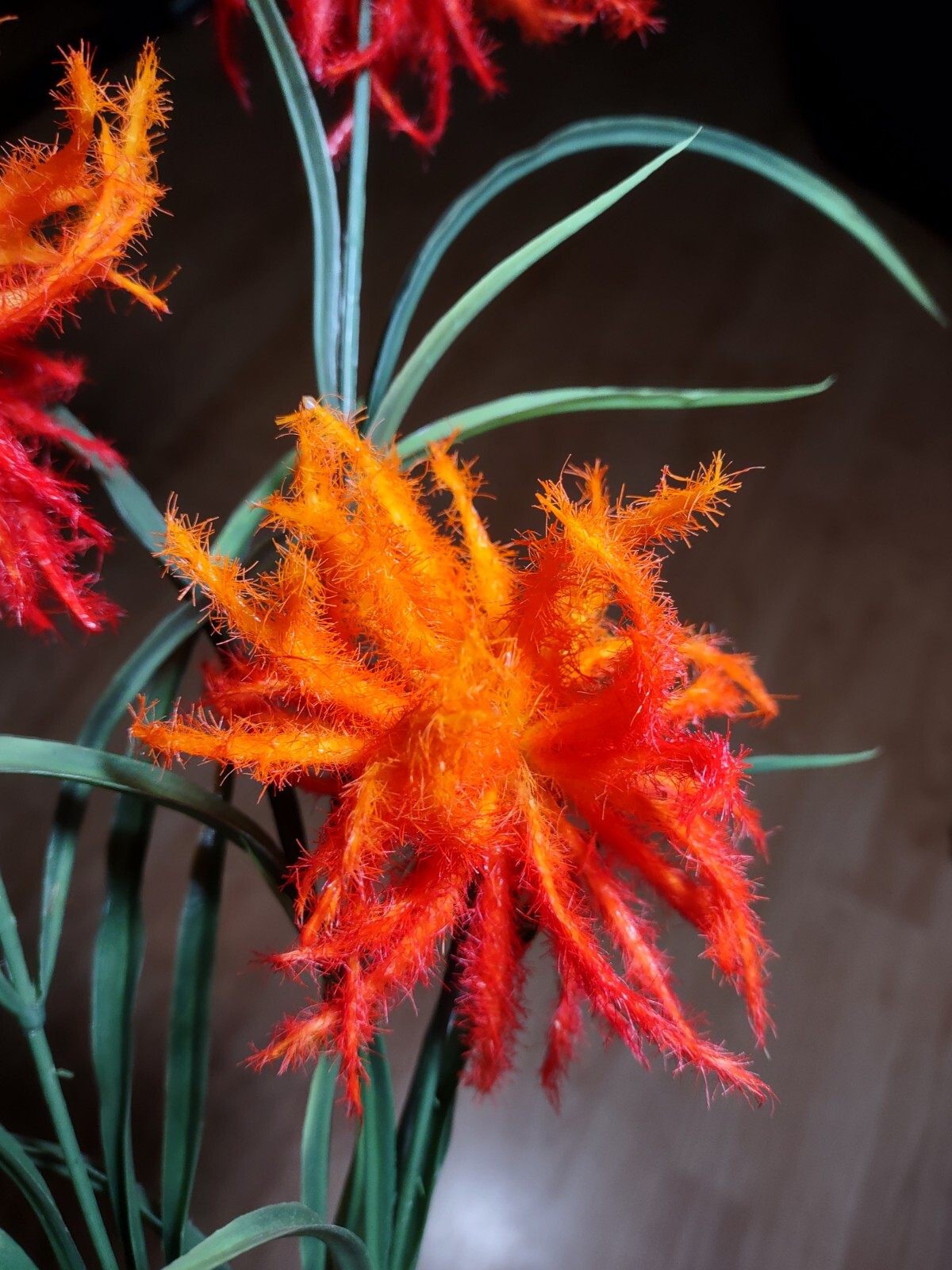 Wildflower tropical floral stem. Hawaiian Flowers. Tropical Flowers