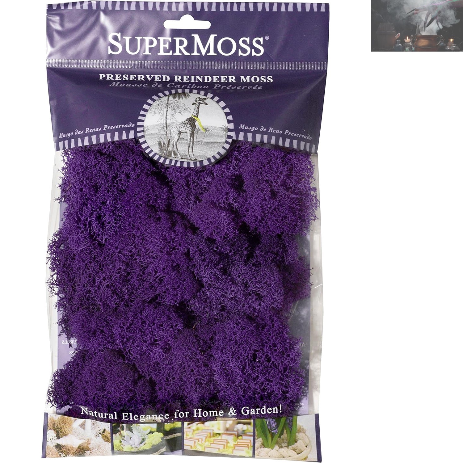 2oz of Soft, Vibrant Purple Reindeer Moss – A Delight for Eco-Conscious Crafters