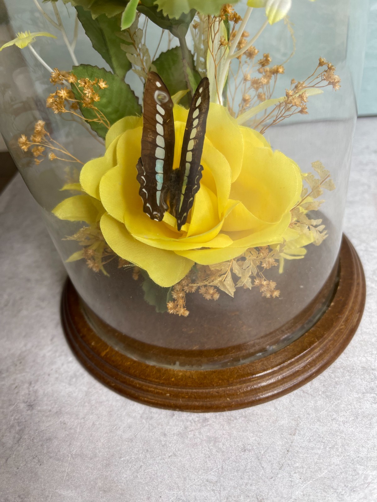 Vintage Butterfly Cloche Dome silk flowers yellow Wood Frame 9″
