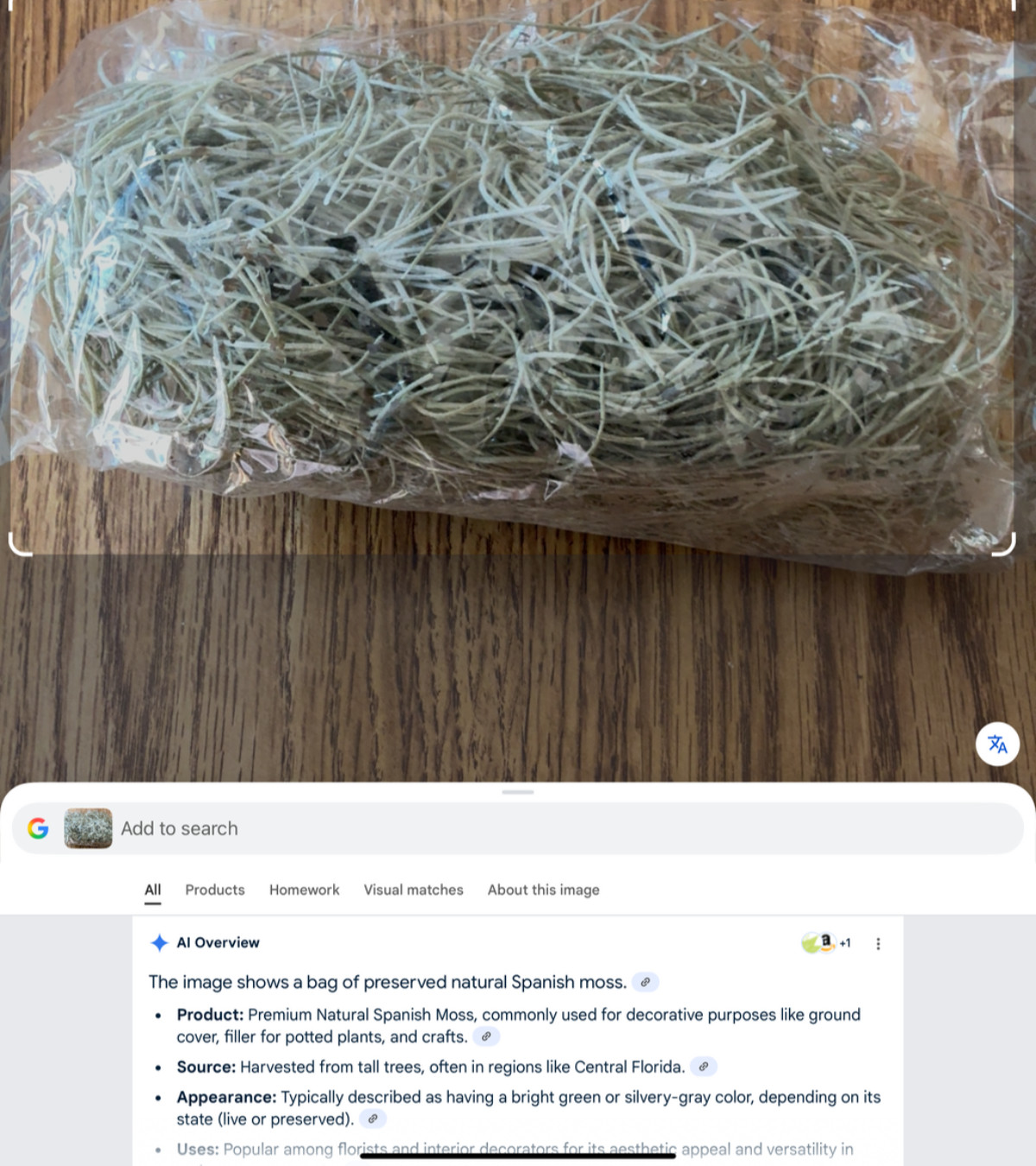 Dried Spanish Moss – potted plant filler, fairy gardens, crafts 26” long – NEW