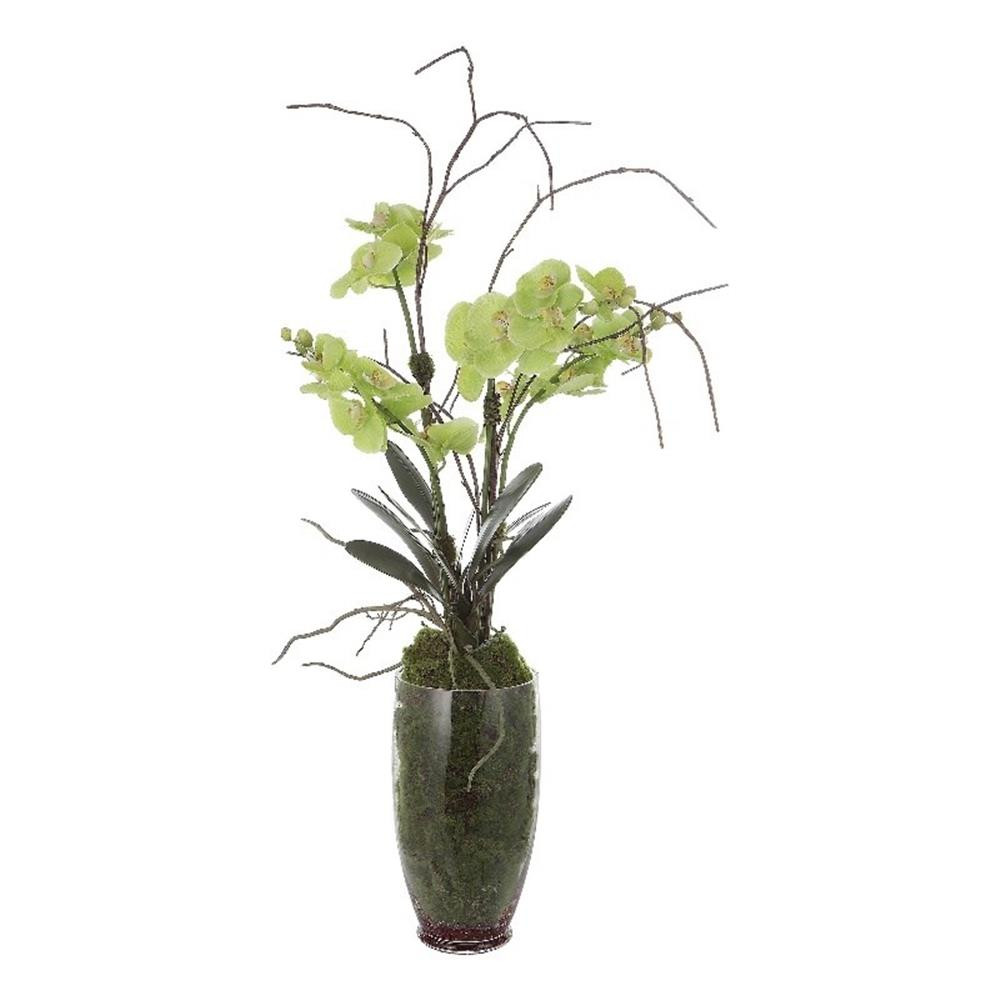 Uttermost Valdive Contemporary Polyester Polyfoam and Plastic Orchid in Green