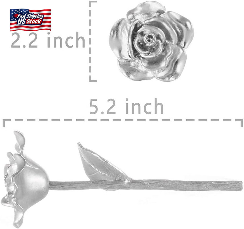BESZONE Tin Rose 10Th Anniversary for Her Gift – Tin Gift 10 Year Wedding Annive