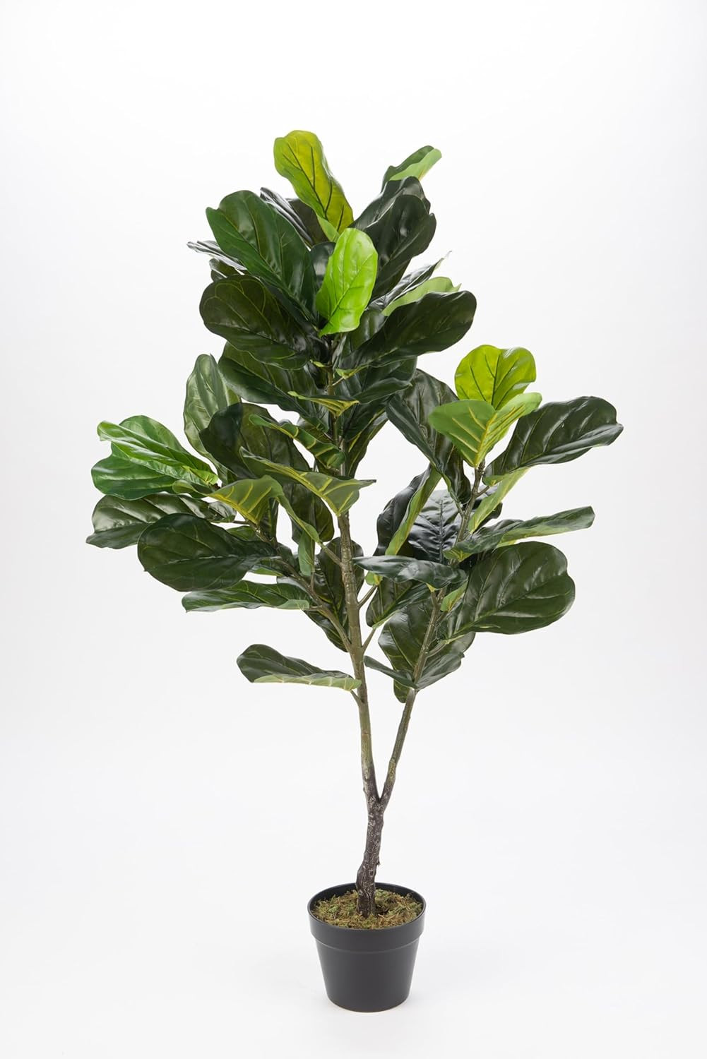 Lifelike 49″ Fiddle Leaf Artificial Plant – Perfect Indoor Décor