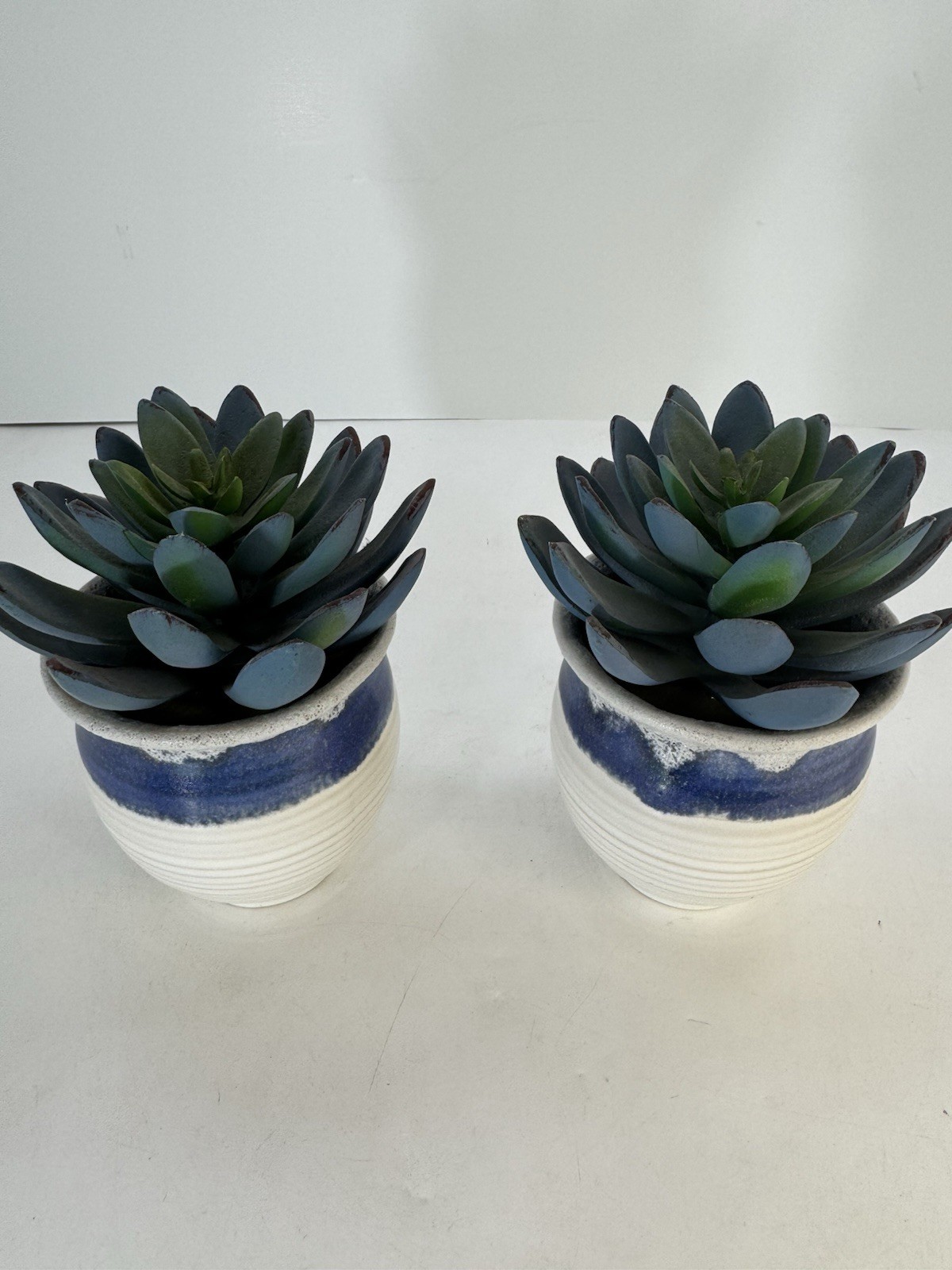 2 Artificial Succulents In Ceramic White Pots With Blue Trim Fake Plants