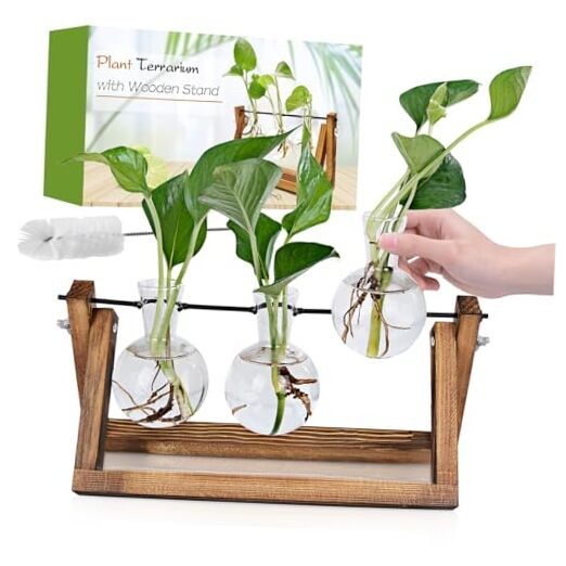 Plant Propagation Station, Plant Terrarium with Wooden Stand, 3 Bulb Vase