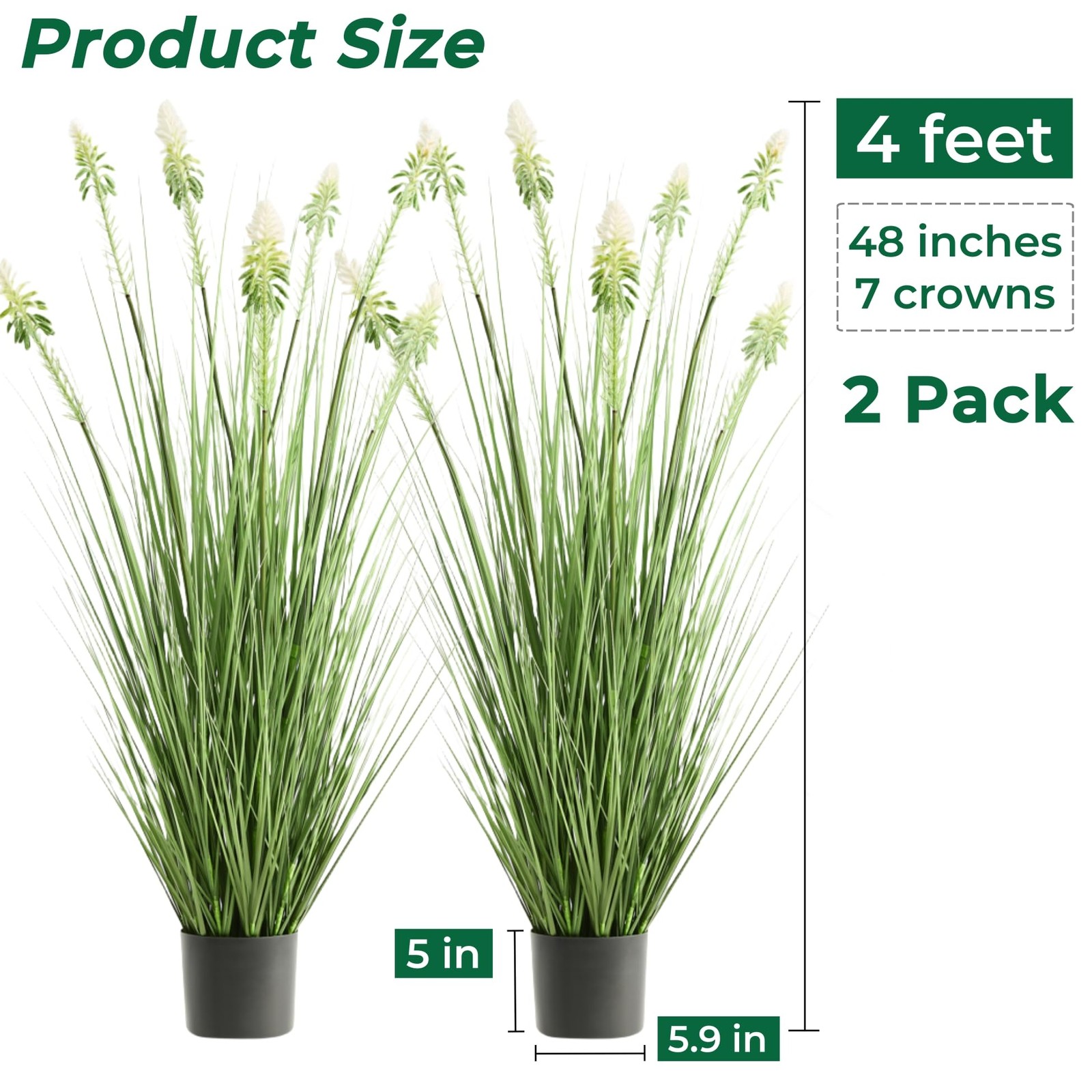 4ft 2-Pack Horsetail Reed Grass with White Cockscomb Flower, 48in Tall Indoor…