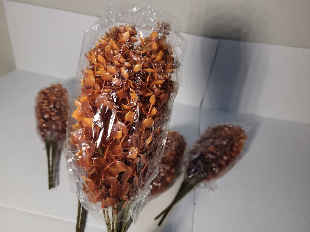 Grunyia Artificial flower decor and schrubs (Coffee) 6 PCS Orange Eucalyptus