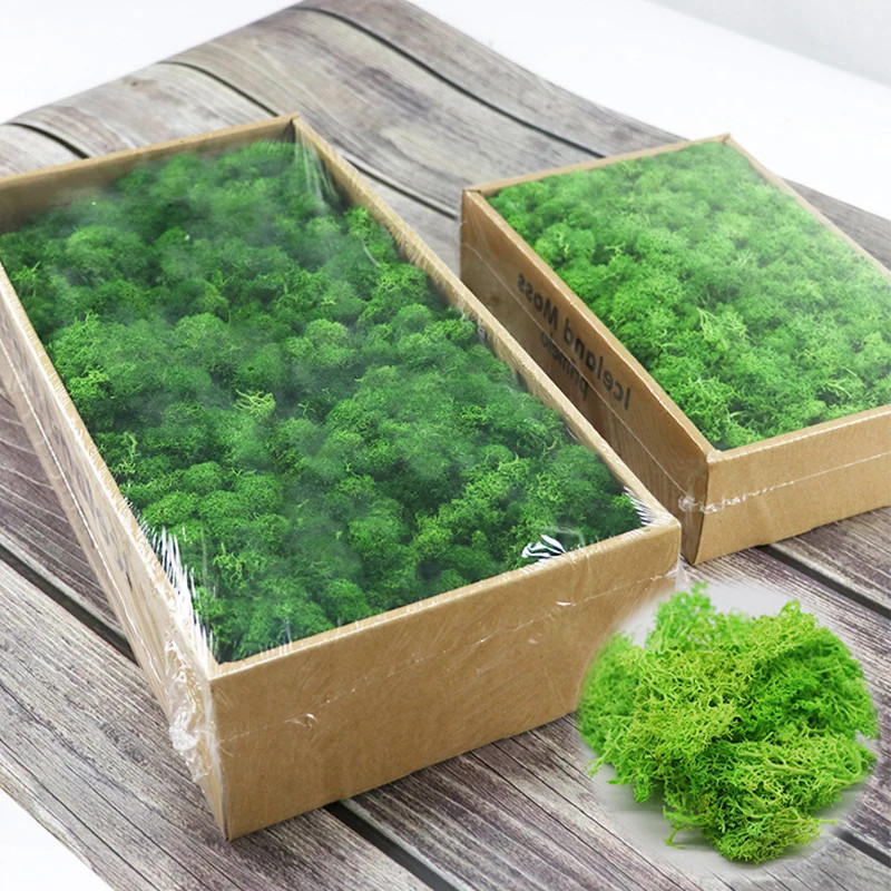 200/500g Artificial Green Plants Fake Grass Eternal Moss For Home Decoration NEW