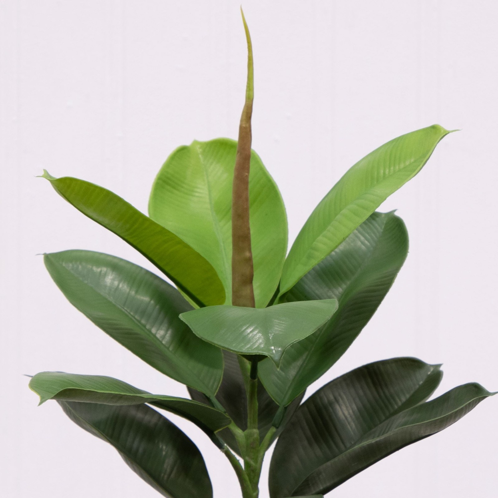 20″H Artificial Indoor Fiddle Leaf Fig Plant in Plastic Vanilla Planter