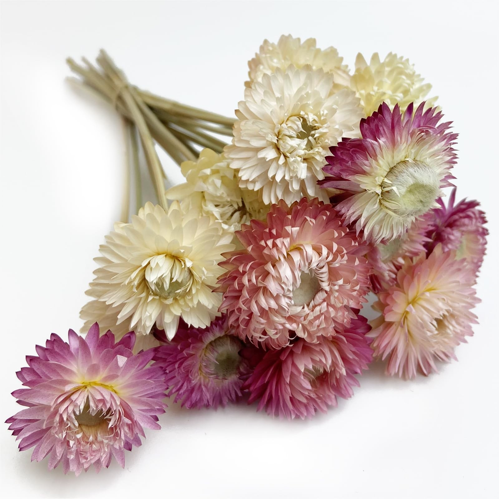 16 PCS Pink White Natural Daisy Strawflower Dried Flower Bouquets Party Decor