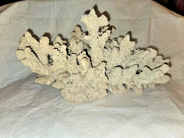 Large Faux Coral Decor Centerpiece – Heavy 4lb Cast Stone – Coastal Home Decor