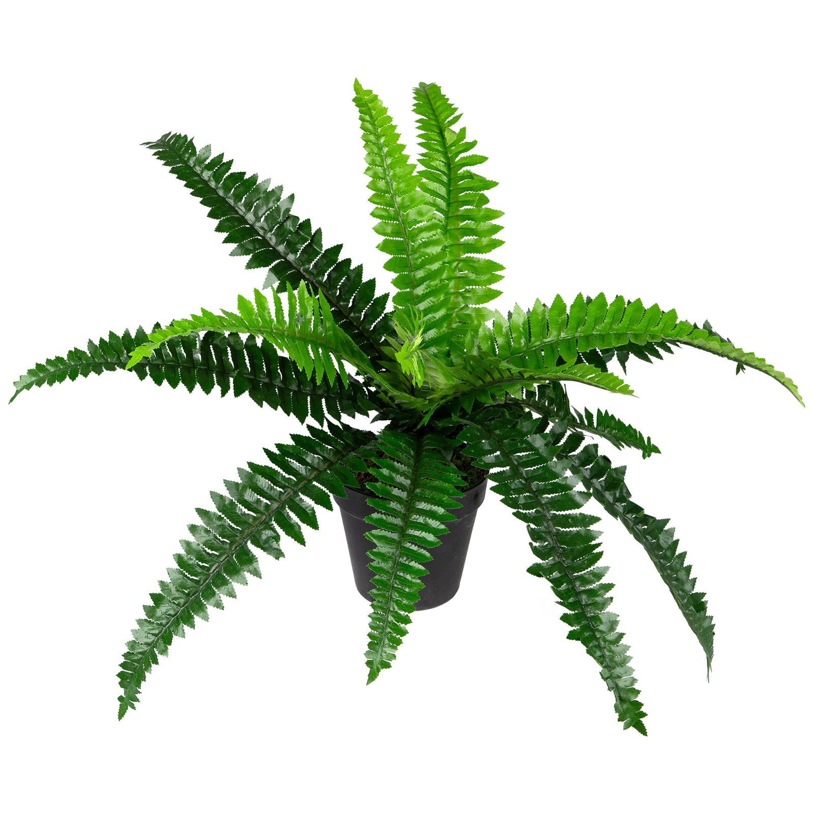 Northlight 15.75″ Potted Artificial Long Green Boston Fern Plant
