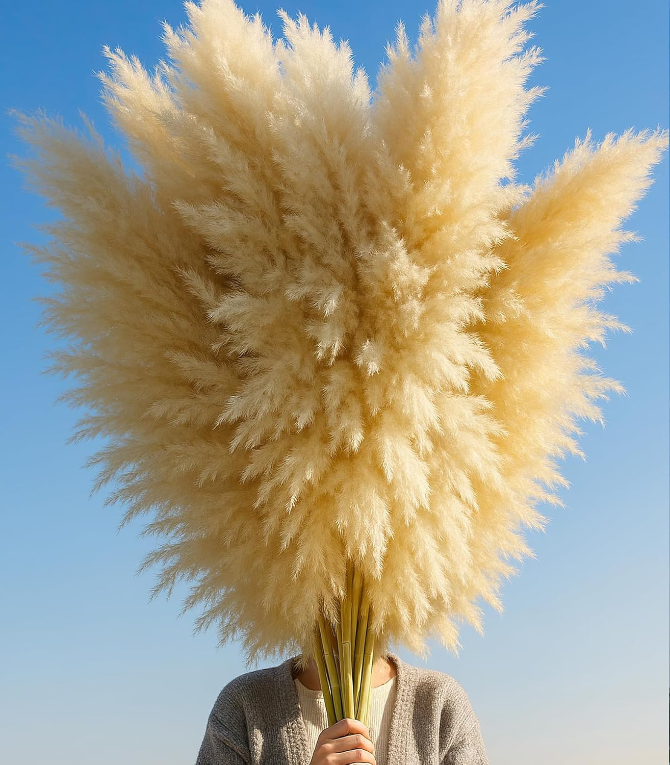 10 PCS 40″ Tall Pampas Grass Stems in Natural Beige, Add a Boho Touch to Your