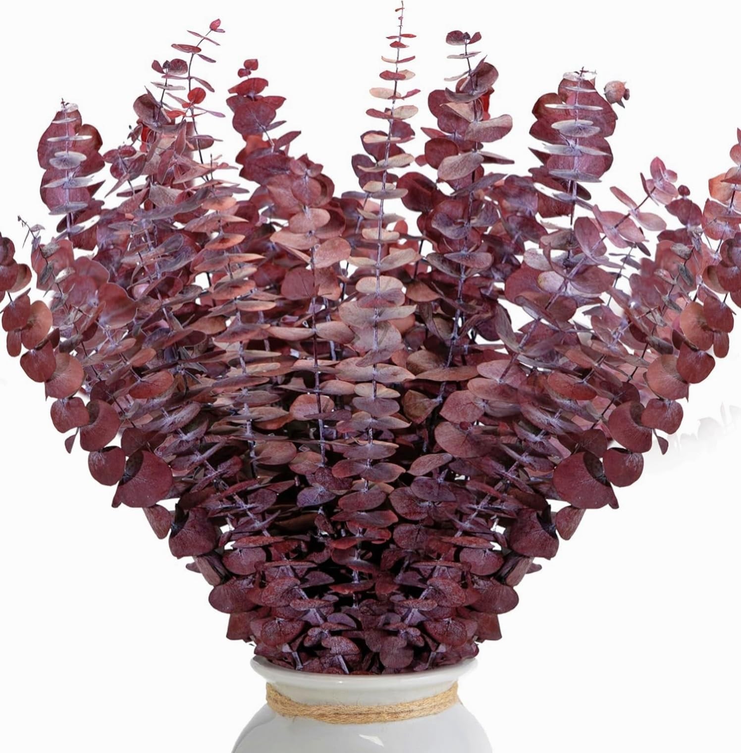 26Pcs Dried Red Eucalyptus Stems 17”, Burgundy Real Preserved Branches