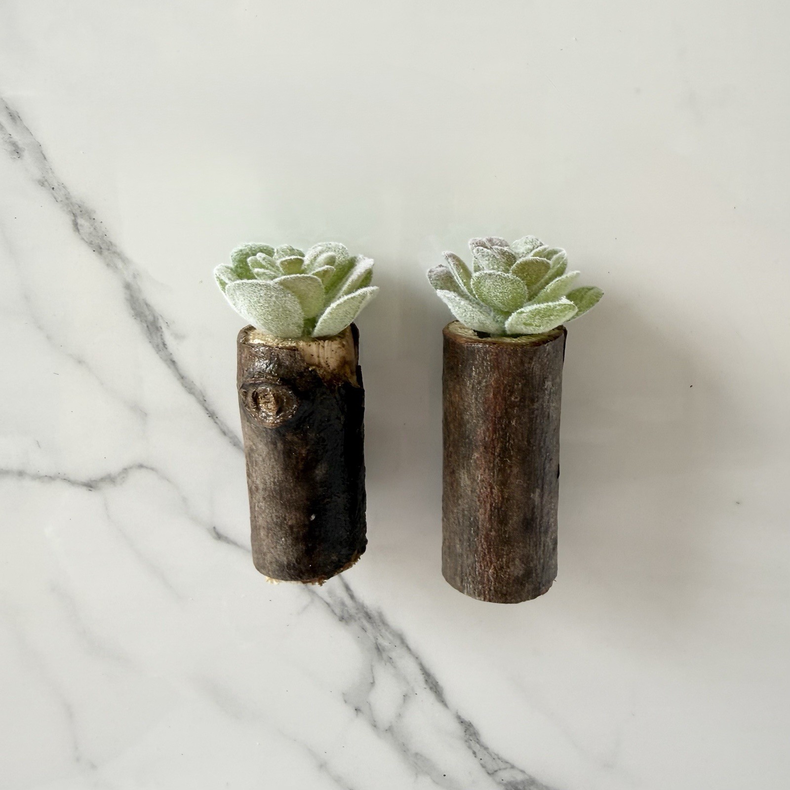 Handmade Mini Faux Succulent Magnet In Stick Vase