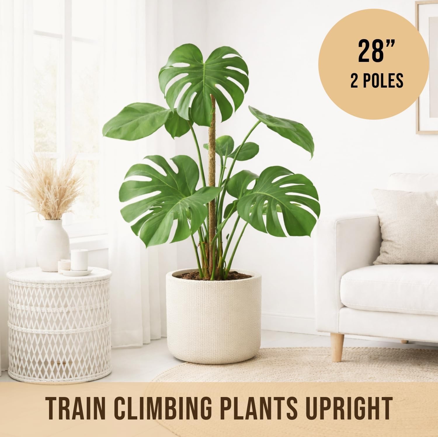Moss Pole Monstera Plant Support – 2 Pack 28” Bendable Moss Pole Monstera