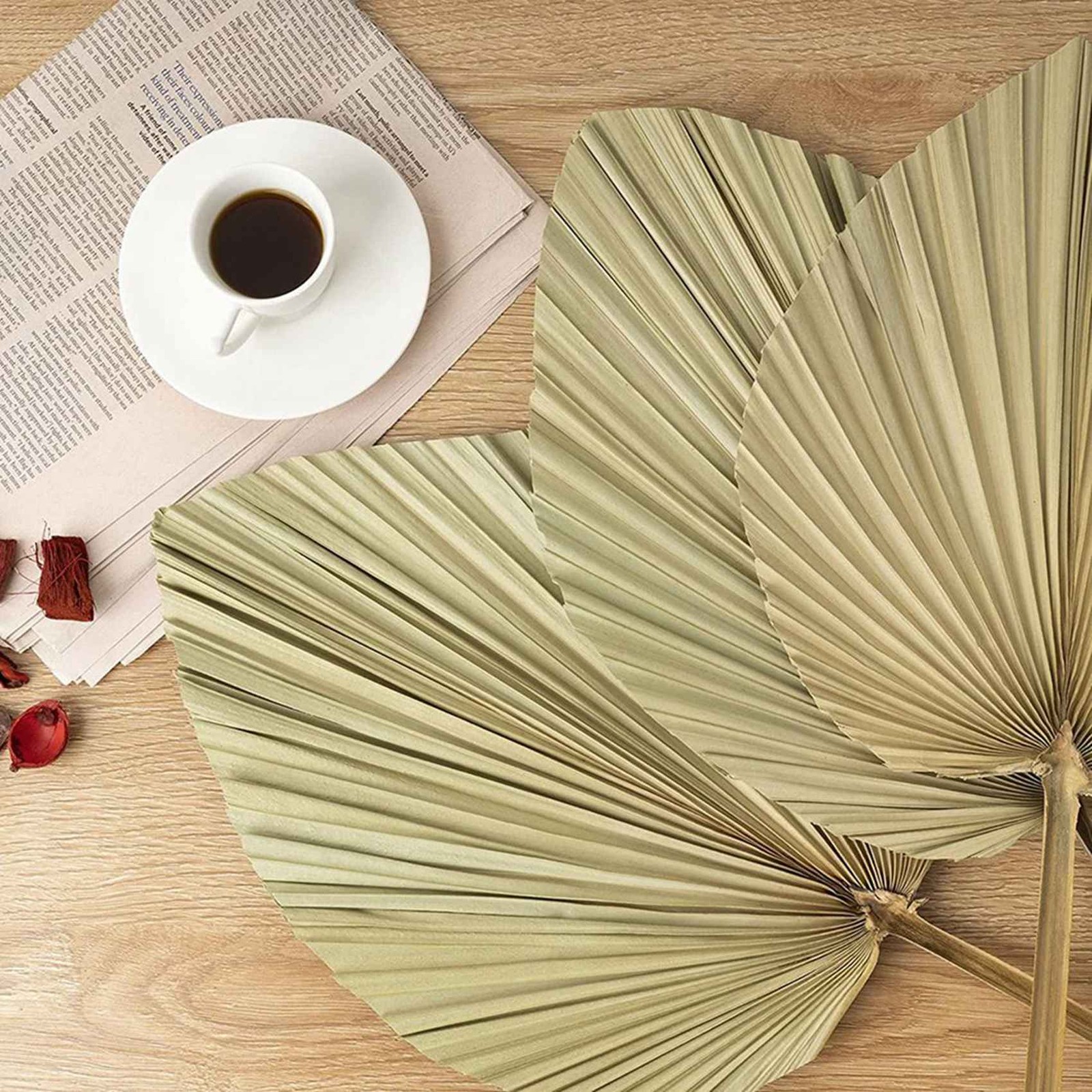 Dried Palm Leaves Room Decor 10 Pieces – 18Inch H X 10Inch W Natural Palm7327