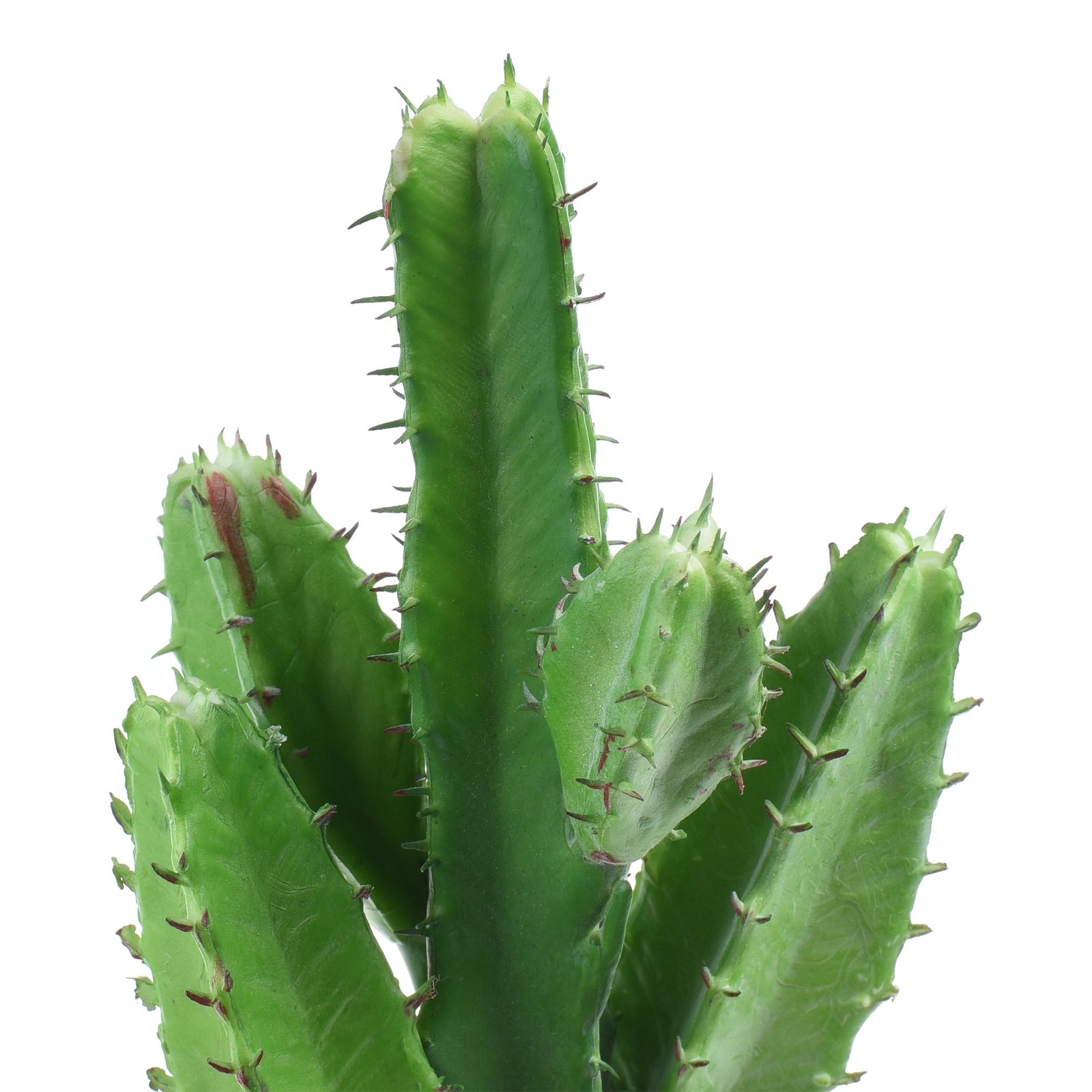 Bluecell 2pcs Real Looking Artificial Cactus Plant DIY Material for Home Deco…