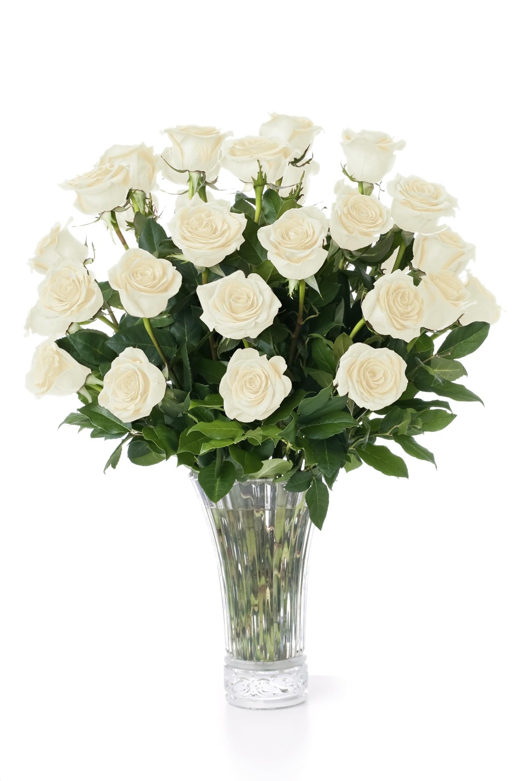 – 24 White Roses, Fresh Flowers for Delivery, Flower Fresh Bouquet, Gift Idea…