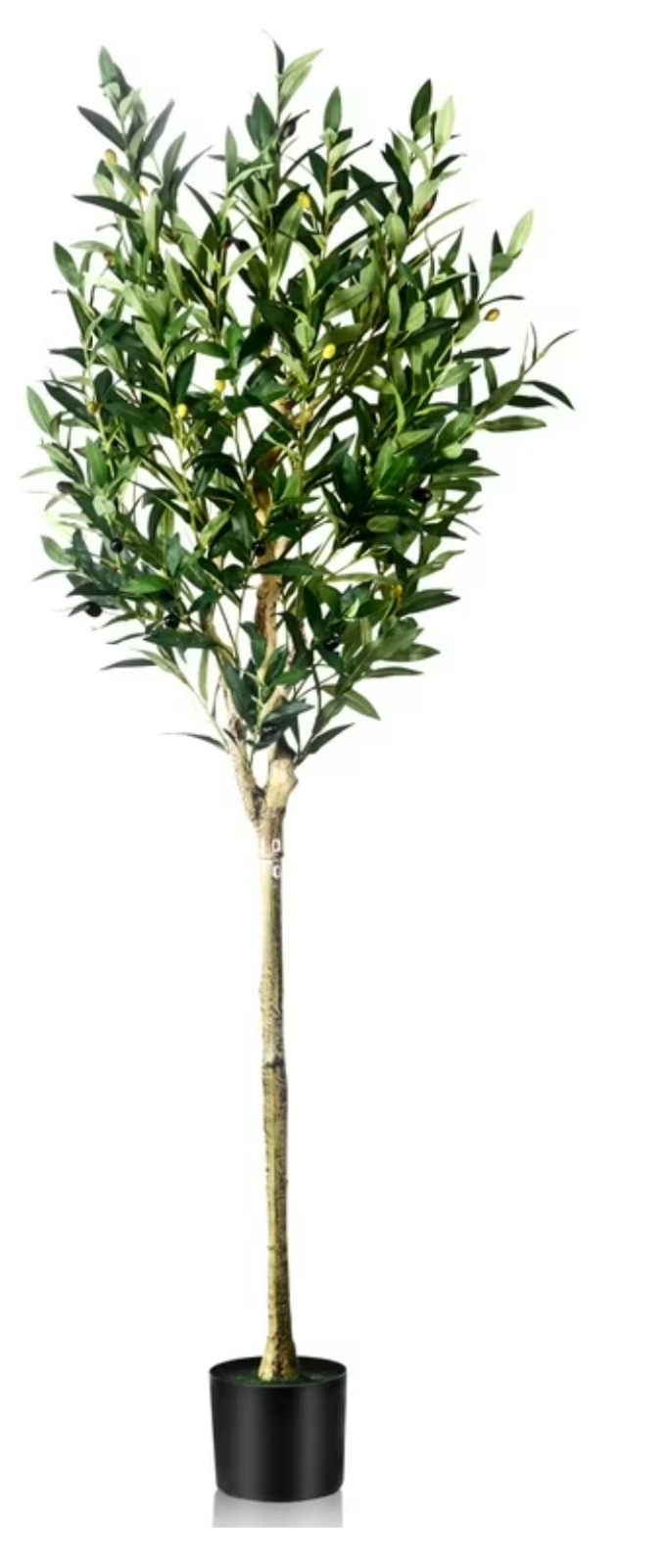 5 ft Artificial Olive Plants with Realistic Leaves and Natural Trunk