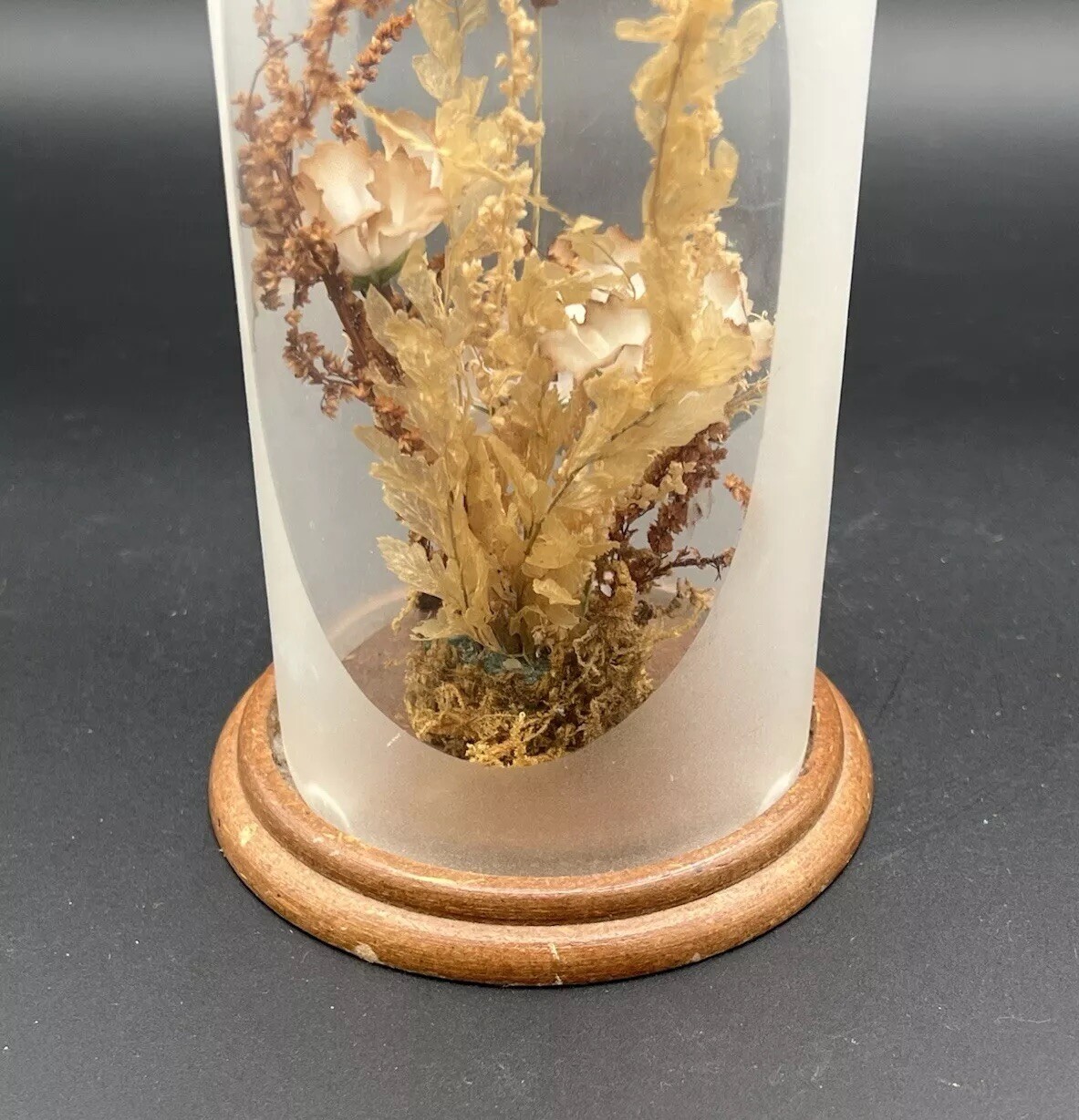 Vintage Terrarium Dome Display Dried Flowers Wood Base 1970s 7.75”