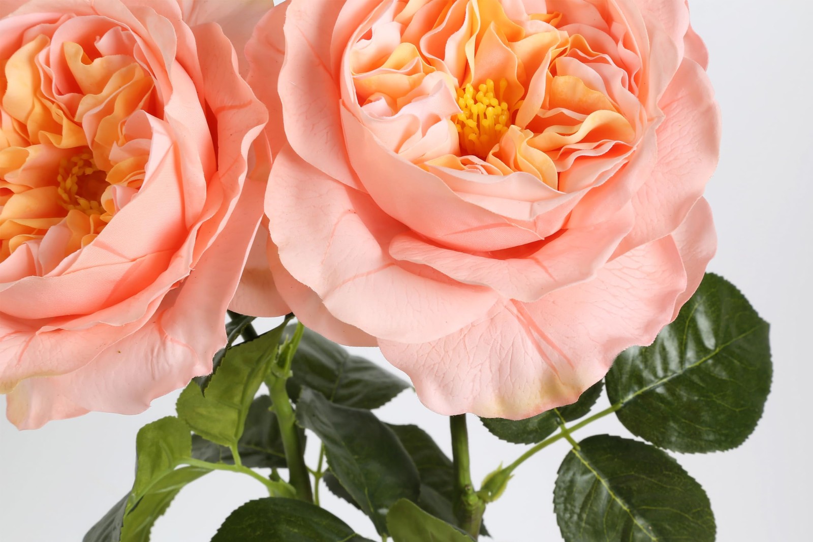 2Pcs Fake Austin Rose Peonies Flowers Real Touch Peach Roses with Stems 25.60…