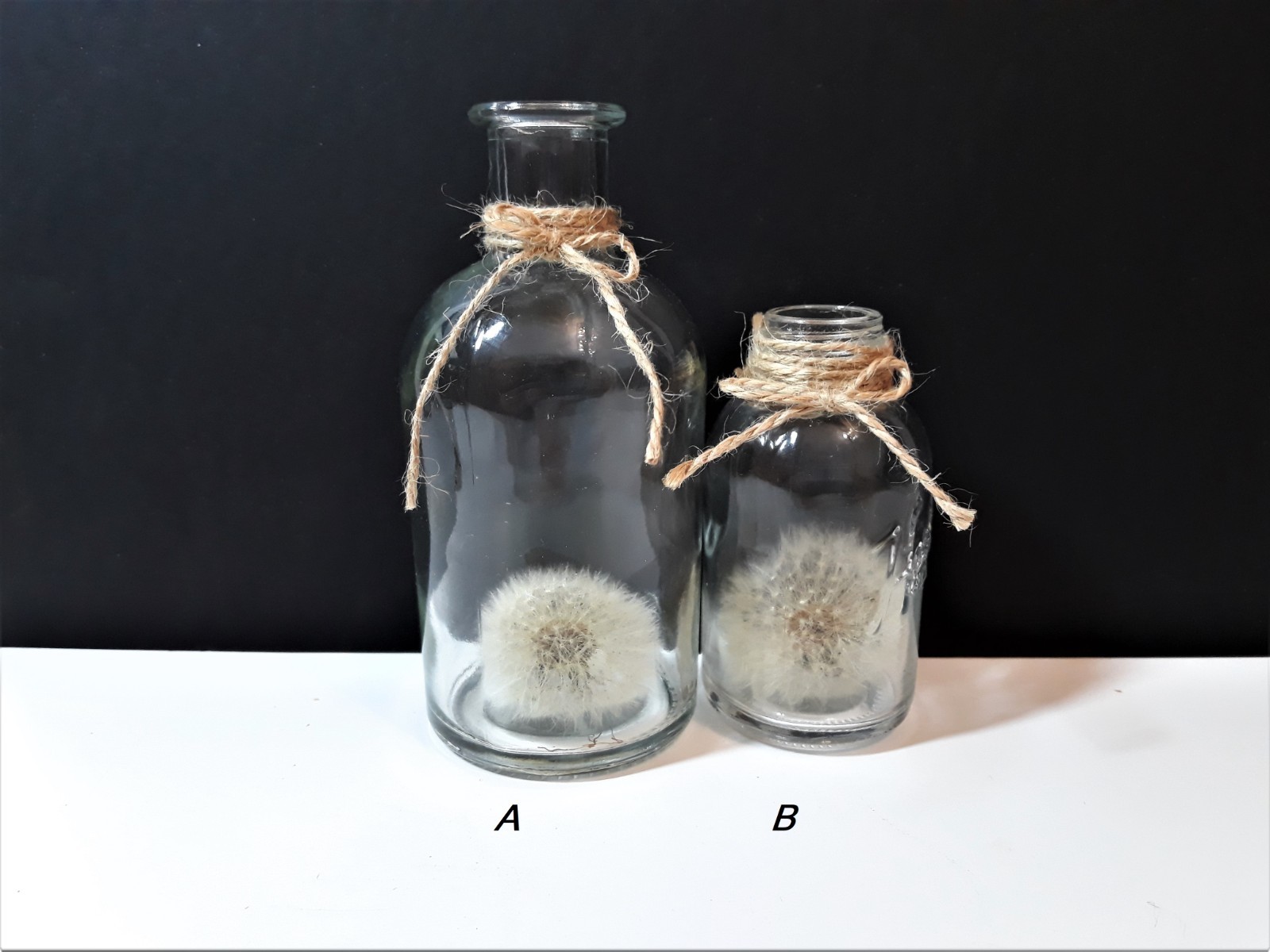 Dried Dandelion Art Dandelion Flower For Craft Dried Flowers decor Dandelions