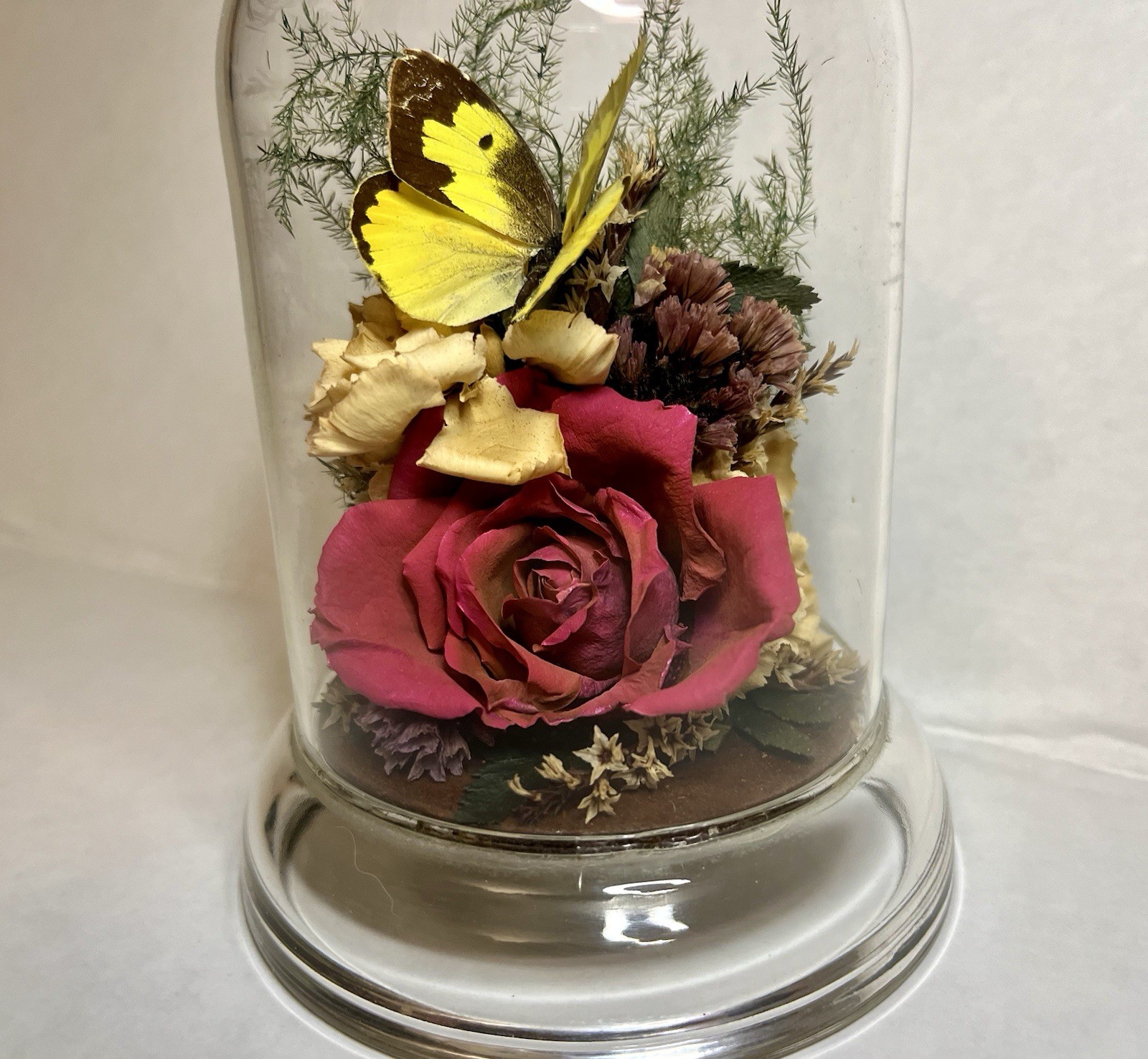 Vintage 90s Natural Expressions Dried Roses Butterfly Glass Terrarium Grannycore