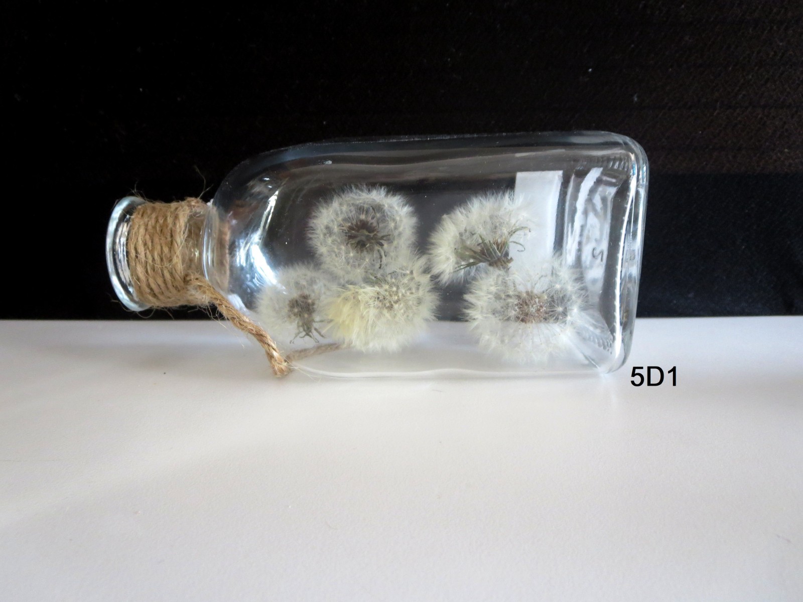 Dried Dandelion Art Dandelion Flower For Craft Dried Flowers decor Dandelions