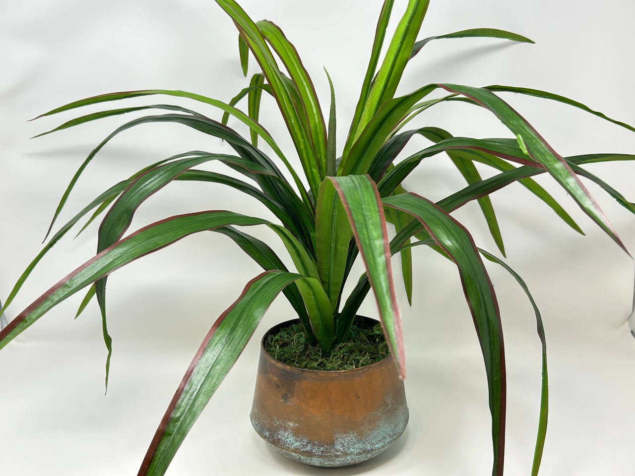20″ Lg Artificial Green-Red YUCCA SWORD Fern faux Silk plant in Copper Pot