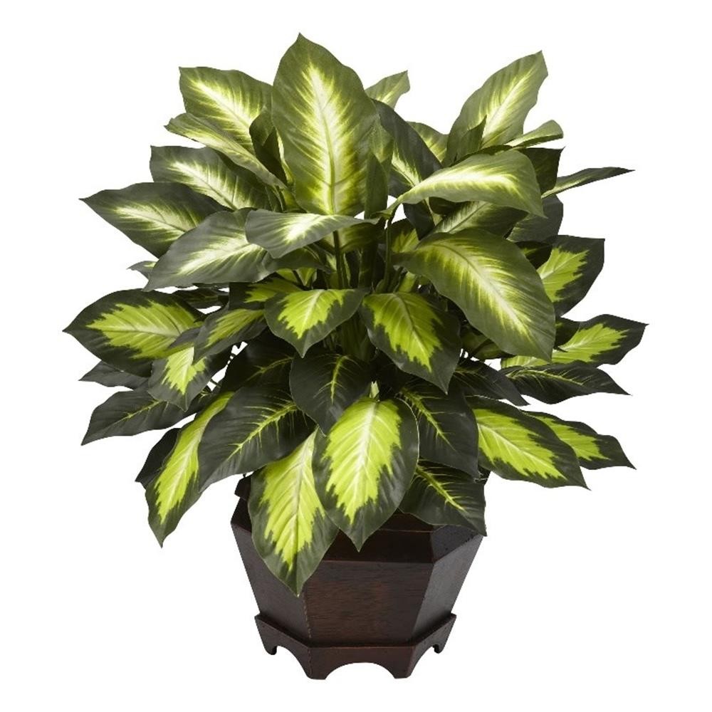 Pemberly Row Triple Golden Dieffenbachia with Wood Vase in Green/Black