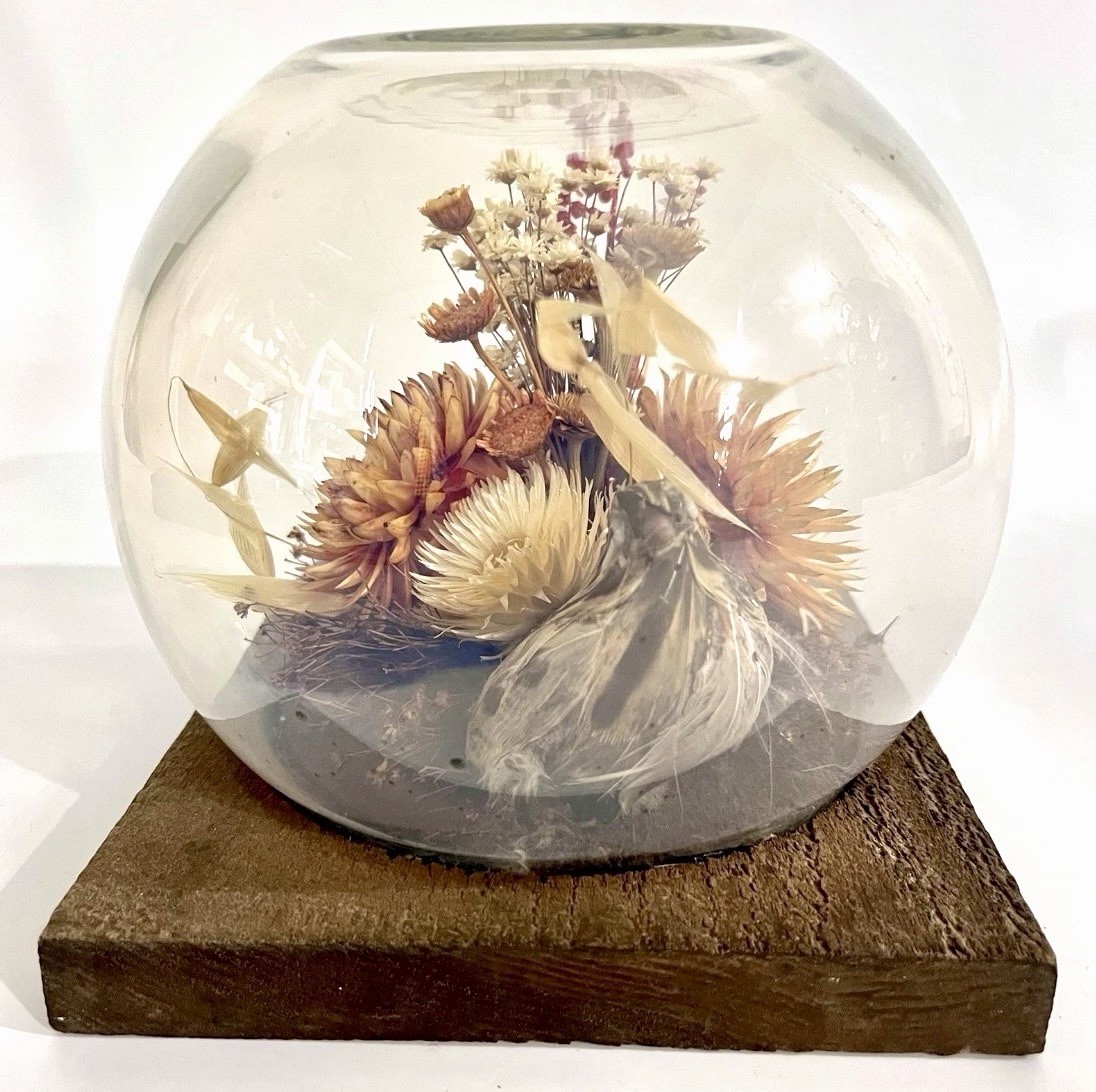 Vintage 60s Dried Flower Glass Terrarium Bird Floral Strawflower Daisy Bouquet