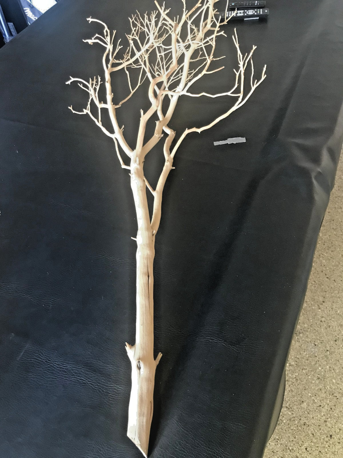 MANZANITA SAND BLASTED BRANCHES [ 3 ]