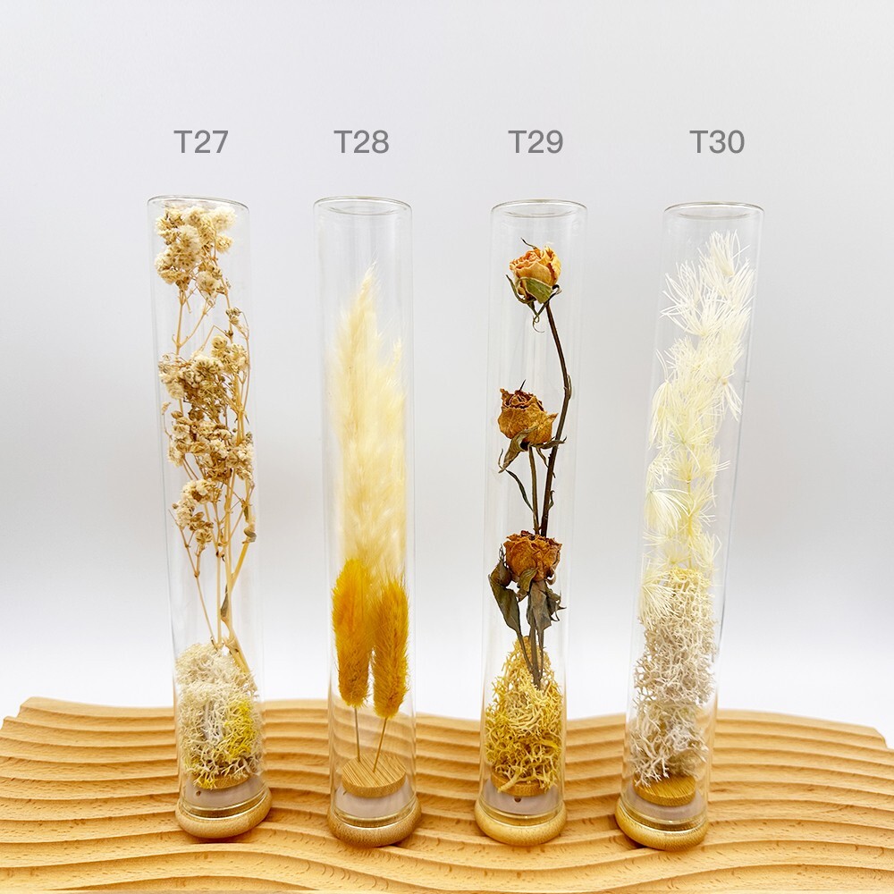 Plant specimens handmade test tube dried flowers immortal flowers holiday birthd
