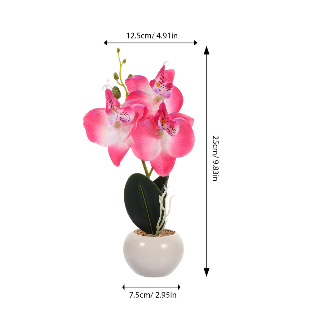 Phalaenopsis Bonsai Prop Simulation Phalaenopsis Plant Fake Phalaenopsis Decor