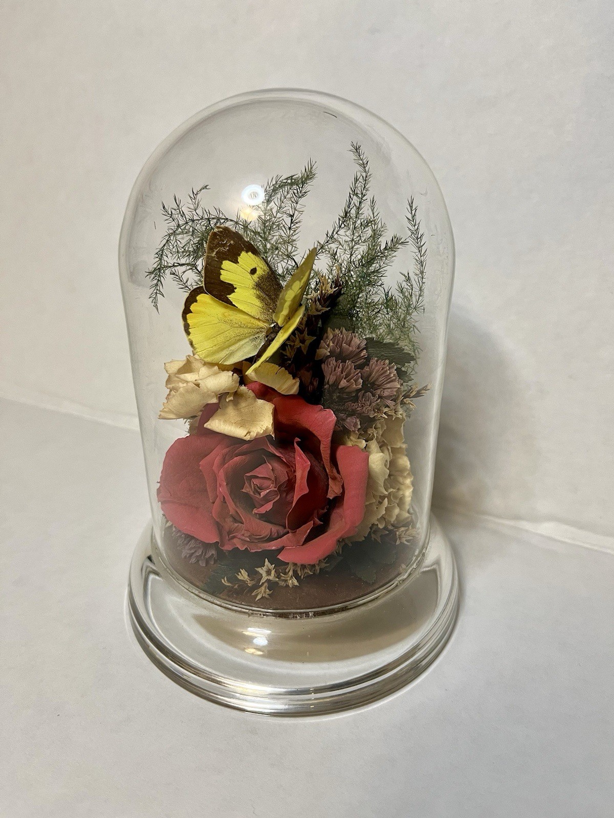 Vintage 90s Natural Expressions Dried Roses Butterfly Glass Terrarium Grannycore