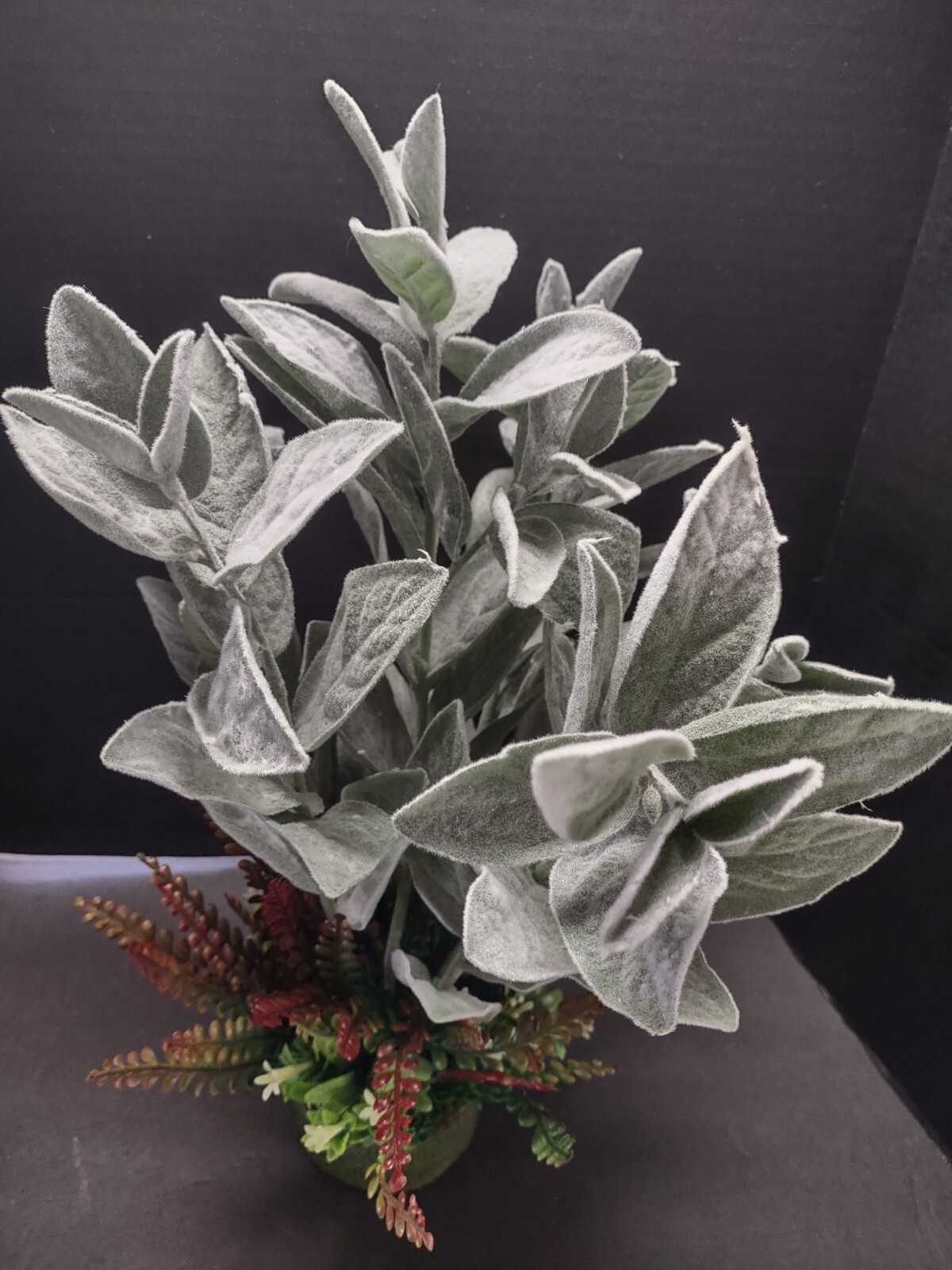 Lamb’s ears plant table decoration.