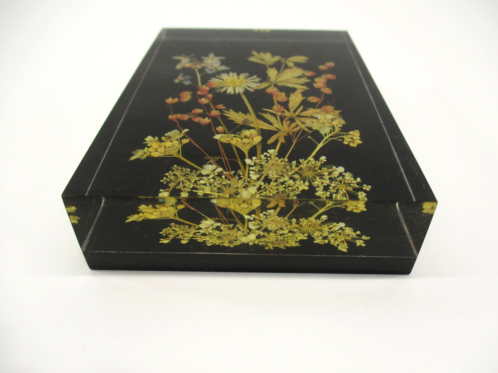 Vtg Lucite Pressed Dried Flowers DINA-Brilliant #1710 10×7 cm W. Germany Picture