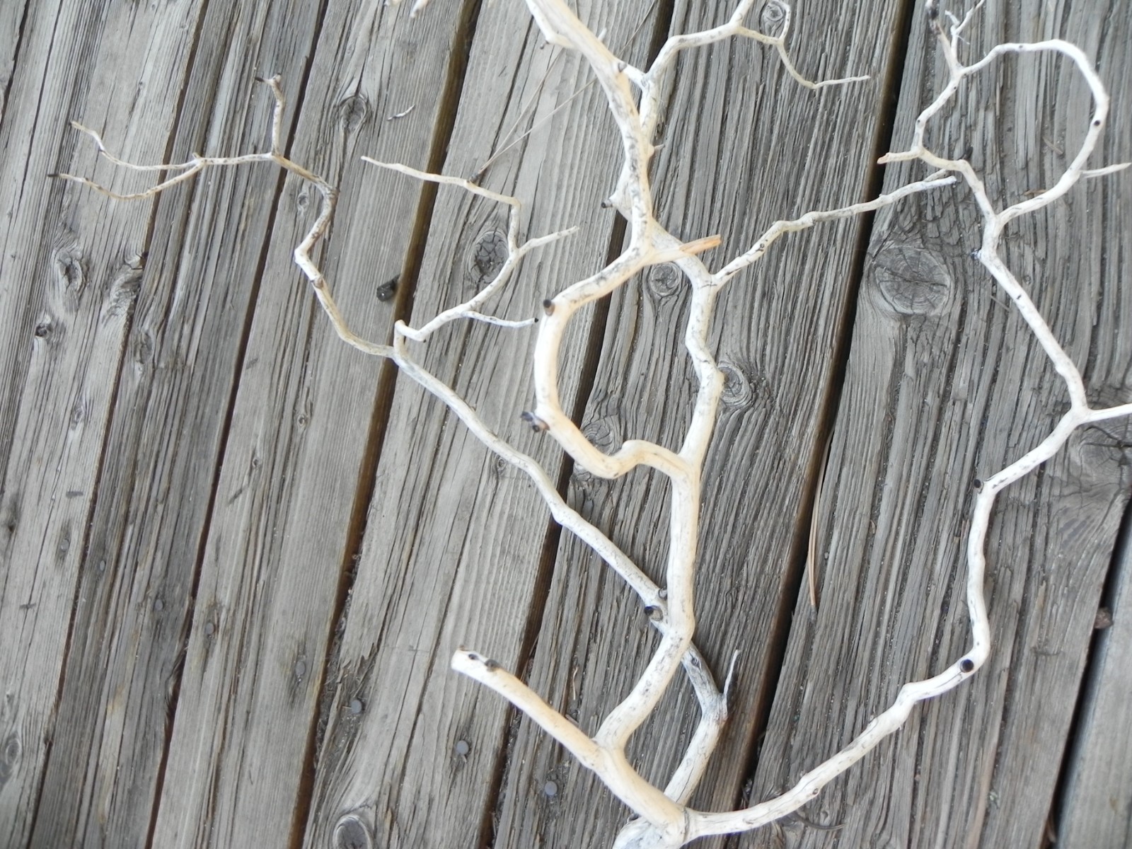 Twisty natural floral design home decor manzanita 24”x20