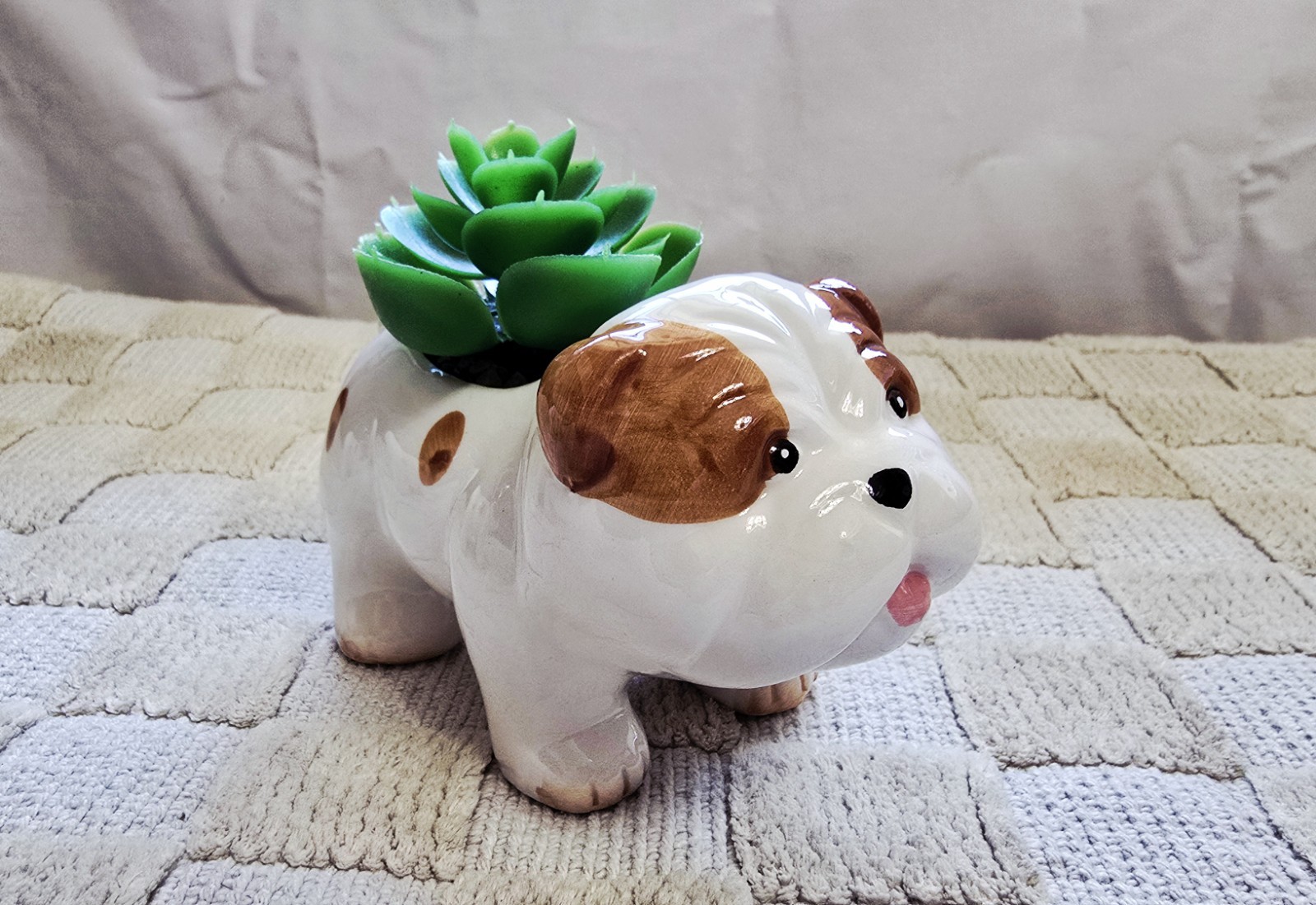 Old East Main Co. High Quality Animal Shape Planters With Lifelike Succulent