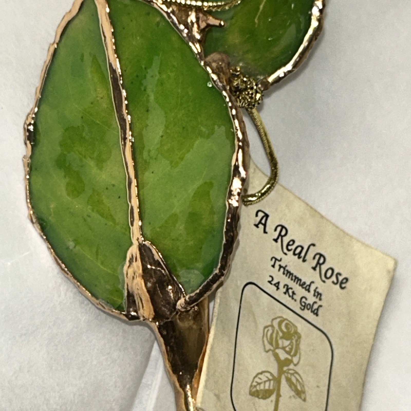 A Real Genuine Rose Trimmed in 24kt Gold 11”Timeless Rose, See Pics for details