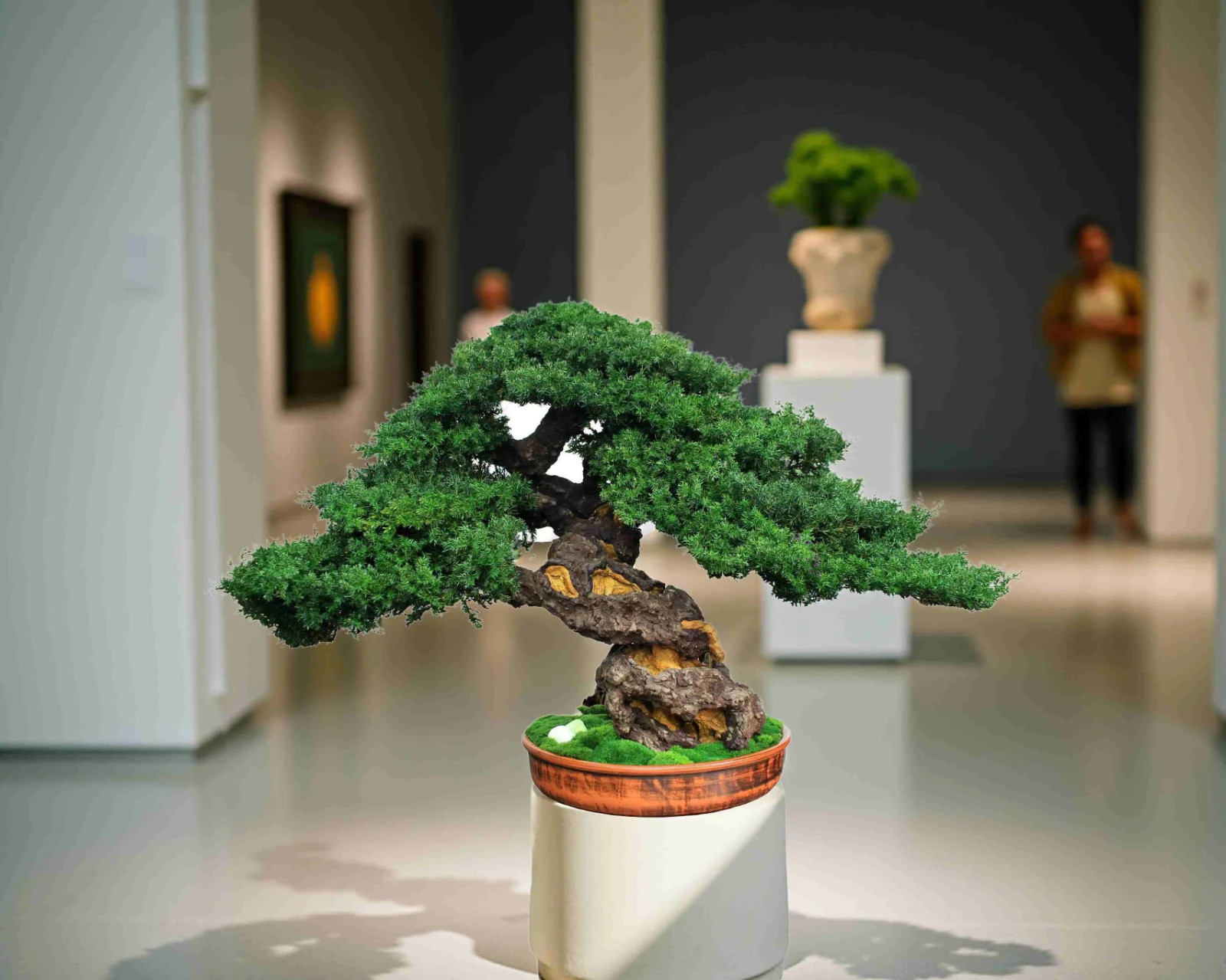 Luxury Preserved Bonsai Tree – Handmade Juniper Zen Sculpture. 49 cm / 19.29″