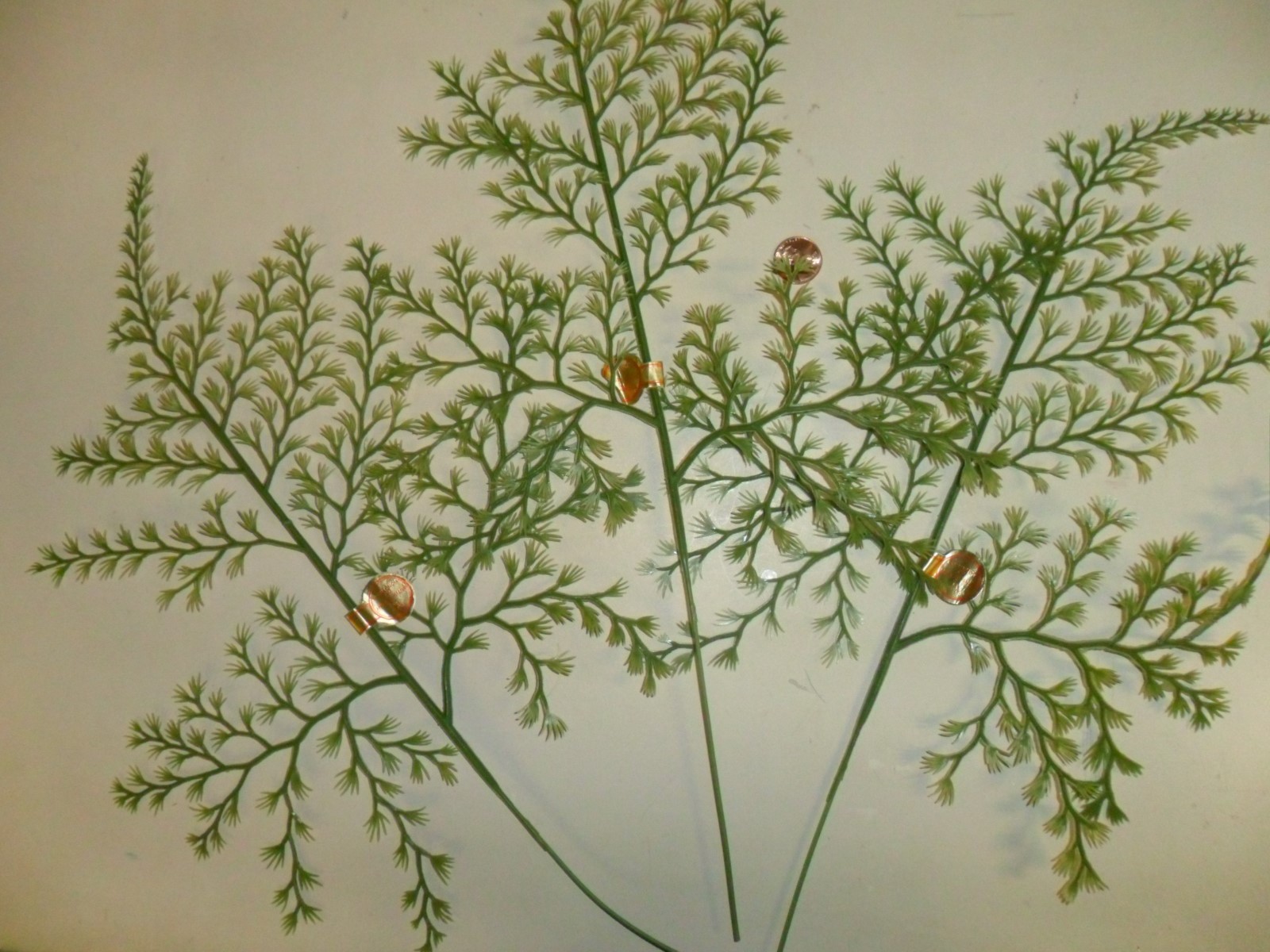 Vintage Plastic Fern Stems Set of 3