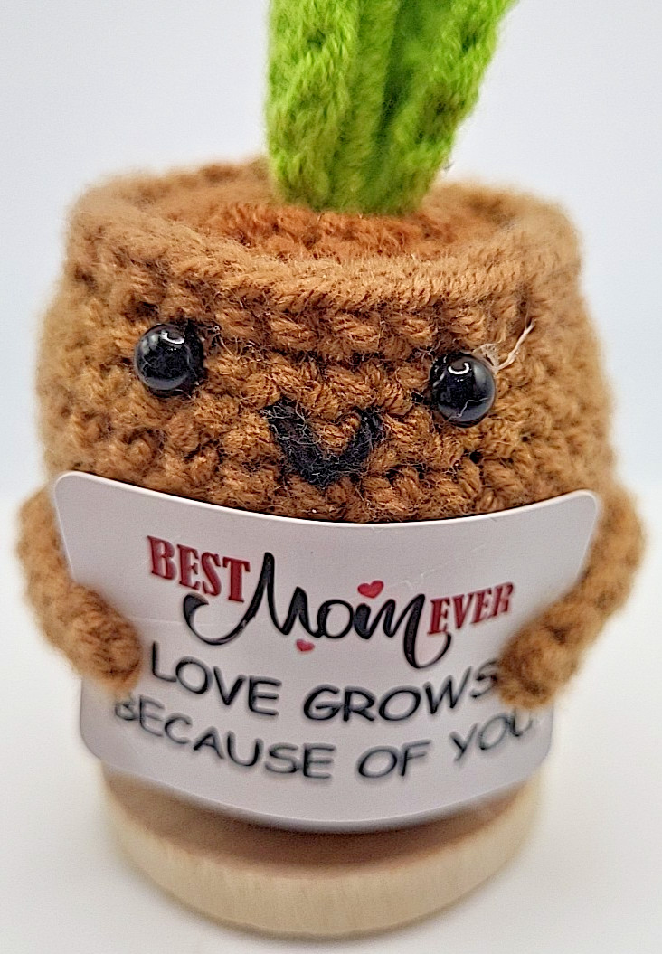 Gift For Mom Crochet Knit Planter Heart Positive Gift Mothers Day Best Mom Ever