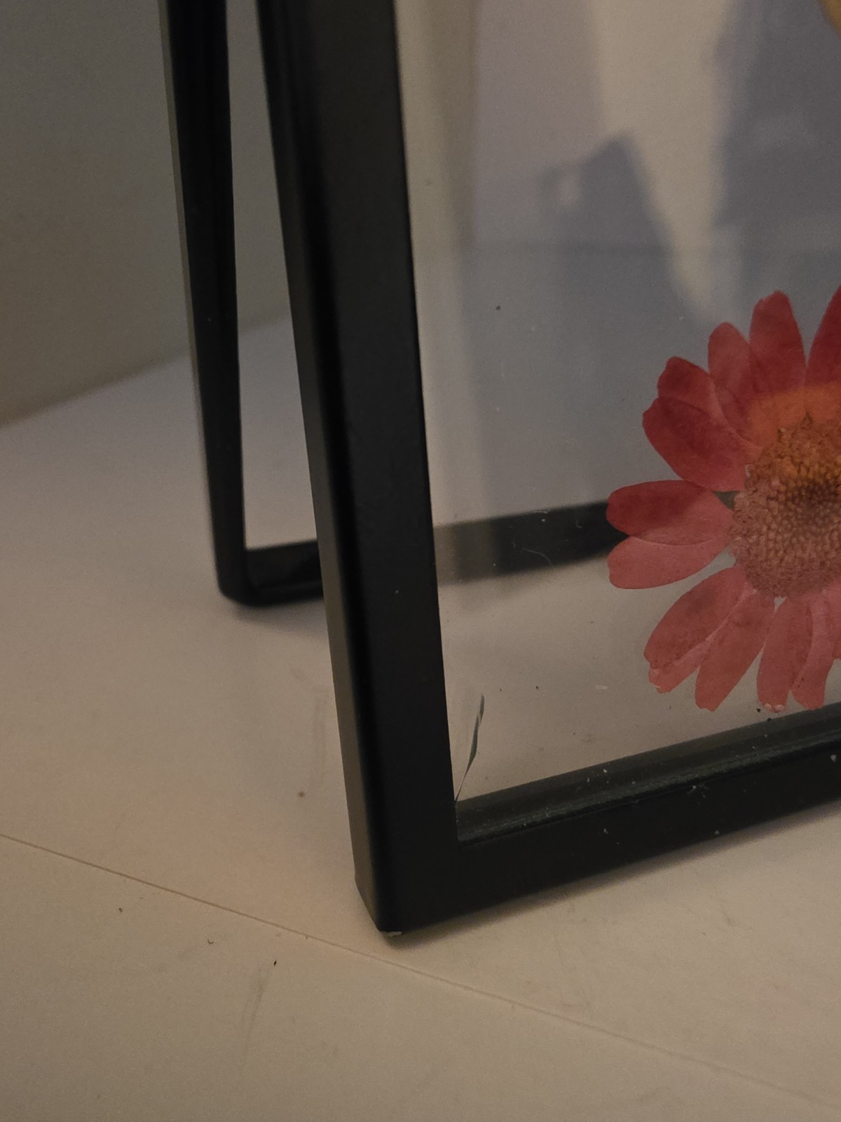 Real Pressed Flower Framed Art Easel