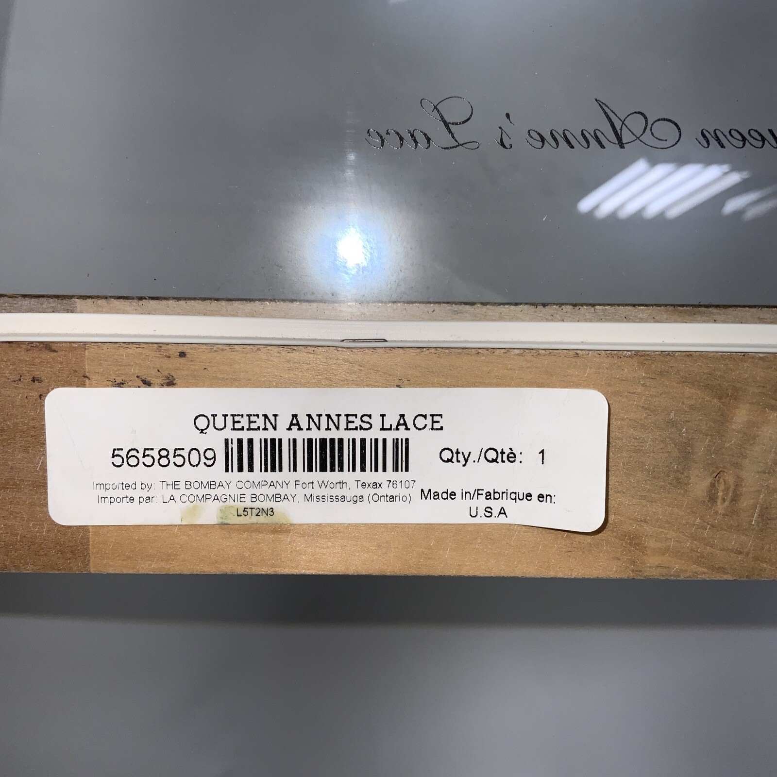 Framed Flower Queen Anne’s Lace Framed Window Bombay