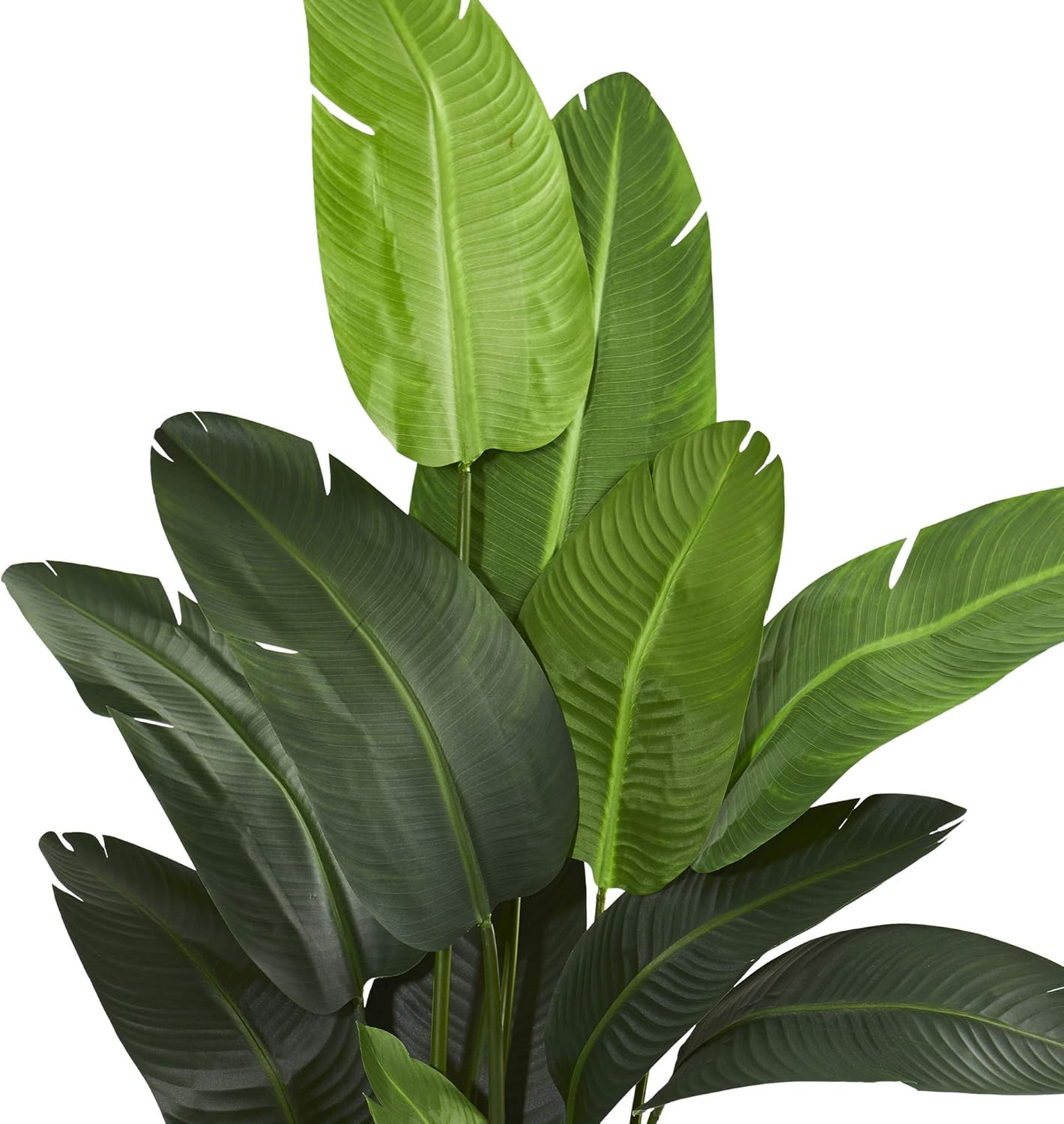 7ft Travelers Palm Artificial Silk Tree – Lush Green Decor for Home or Office